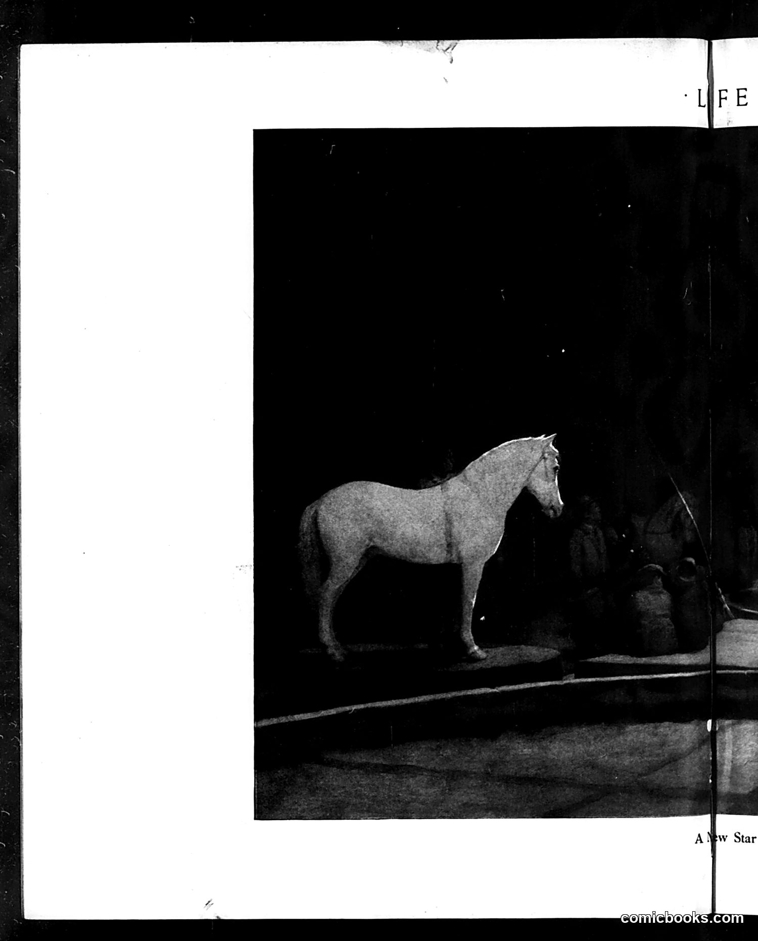 Life — November 12, 1914 — page 24 of 48