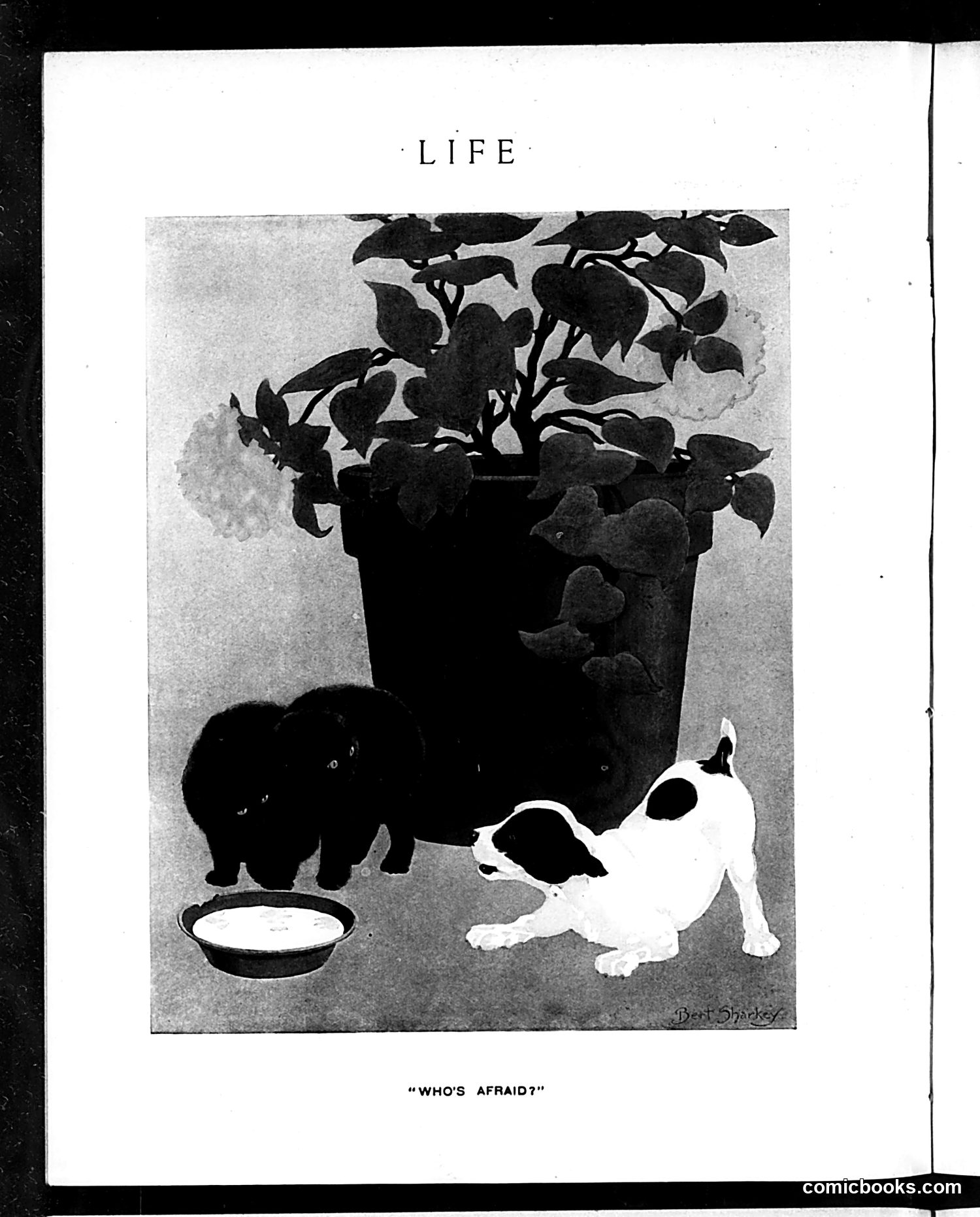 Life — December 3, 1914 — page 48 of 92