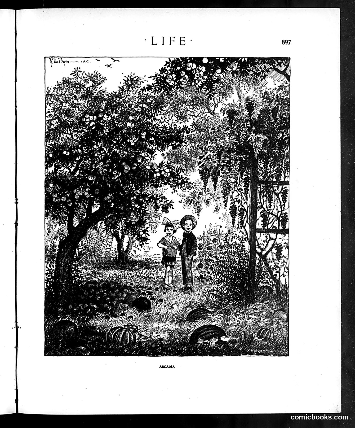 Life — May 20, 1915 — page 13 of 44