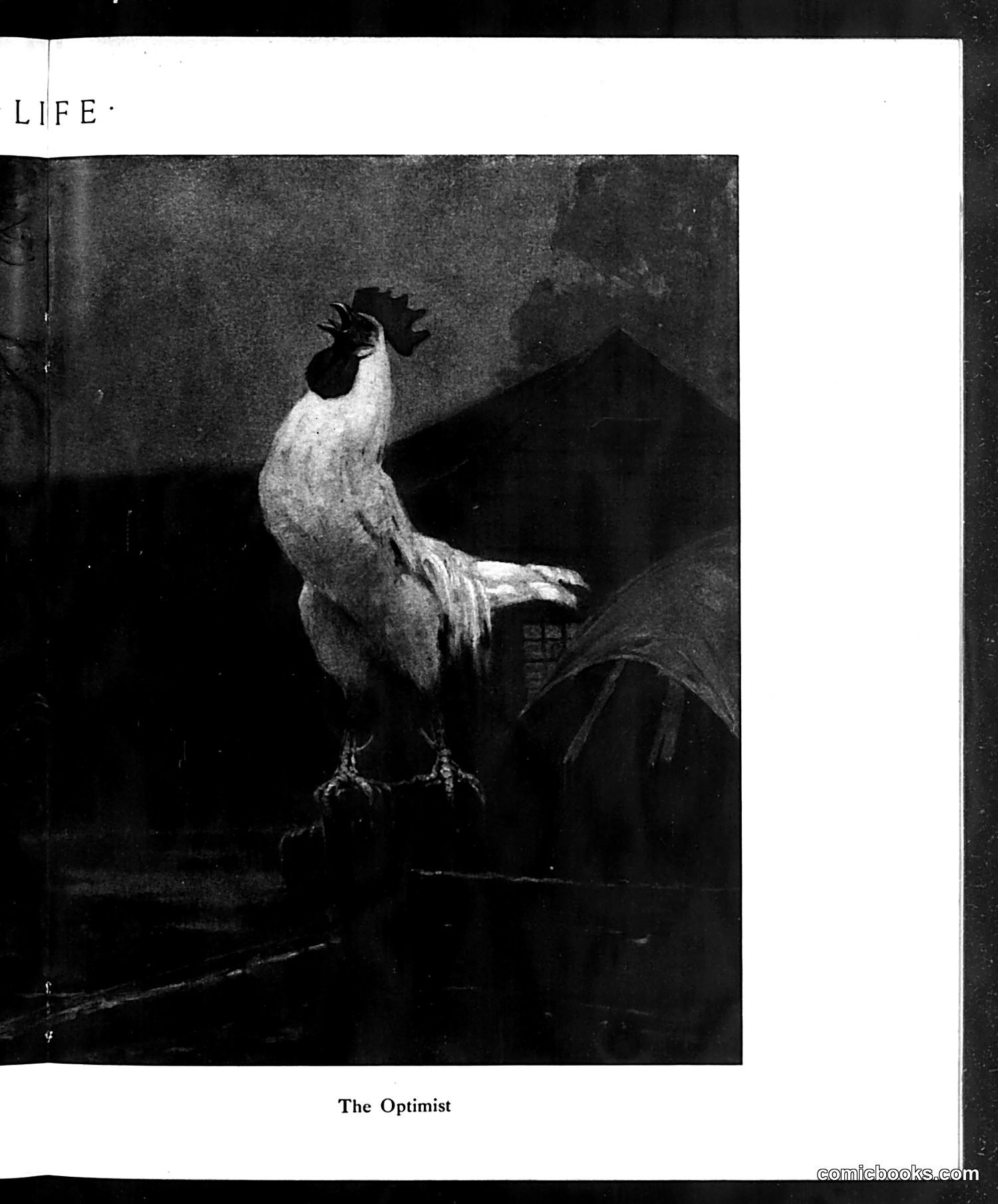 Life — May 20, 1915 — page 23 of 44