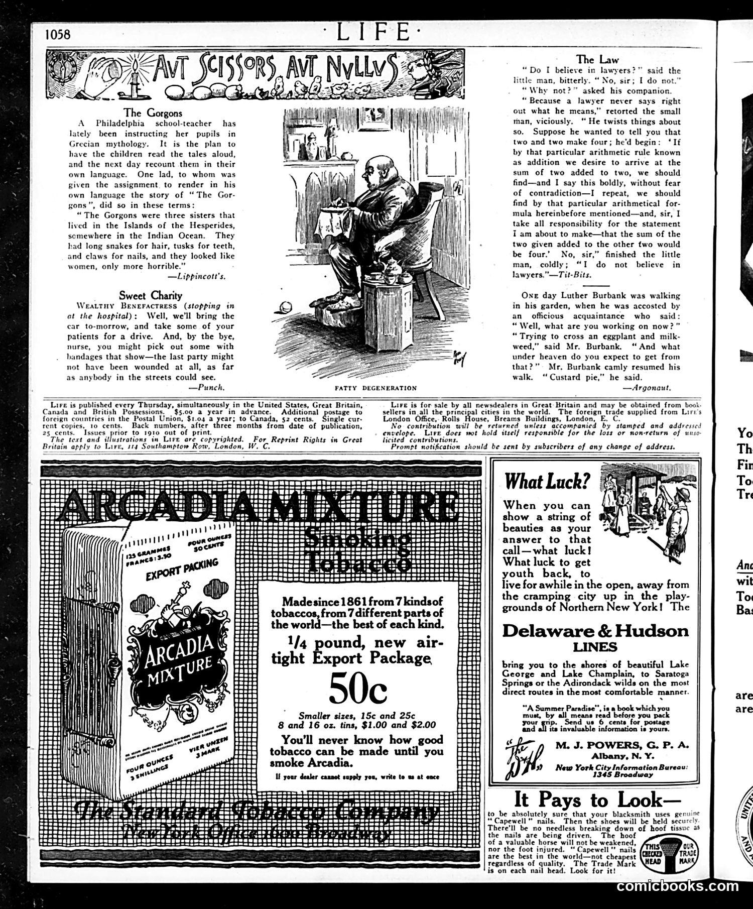 Life — June 10, 1915 — page 34 of 48