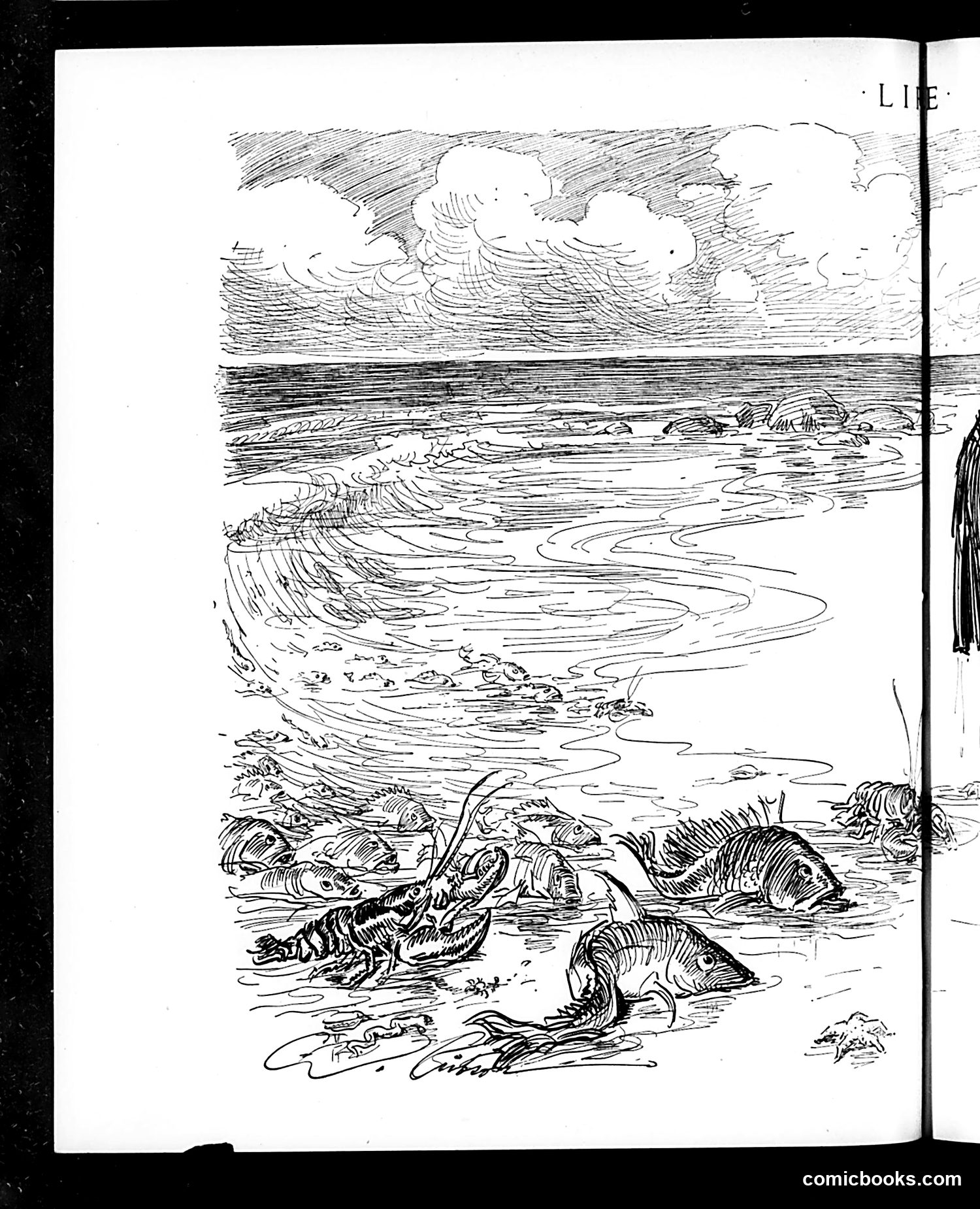 Life — July 22, 1915 — page 22 of 44