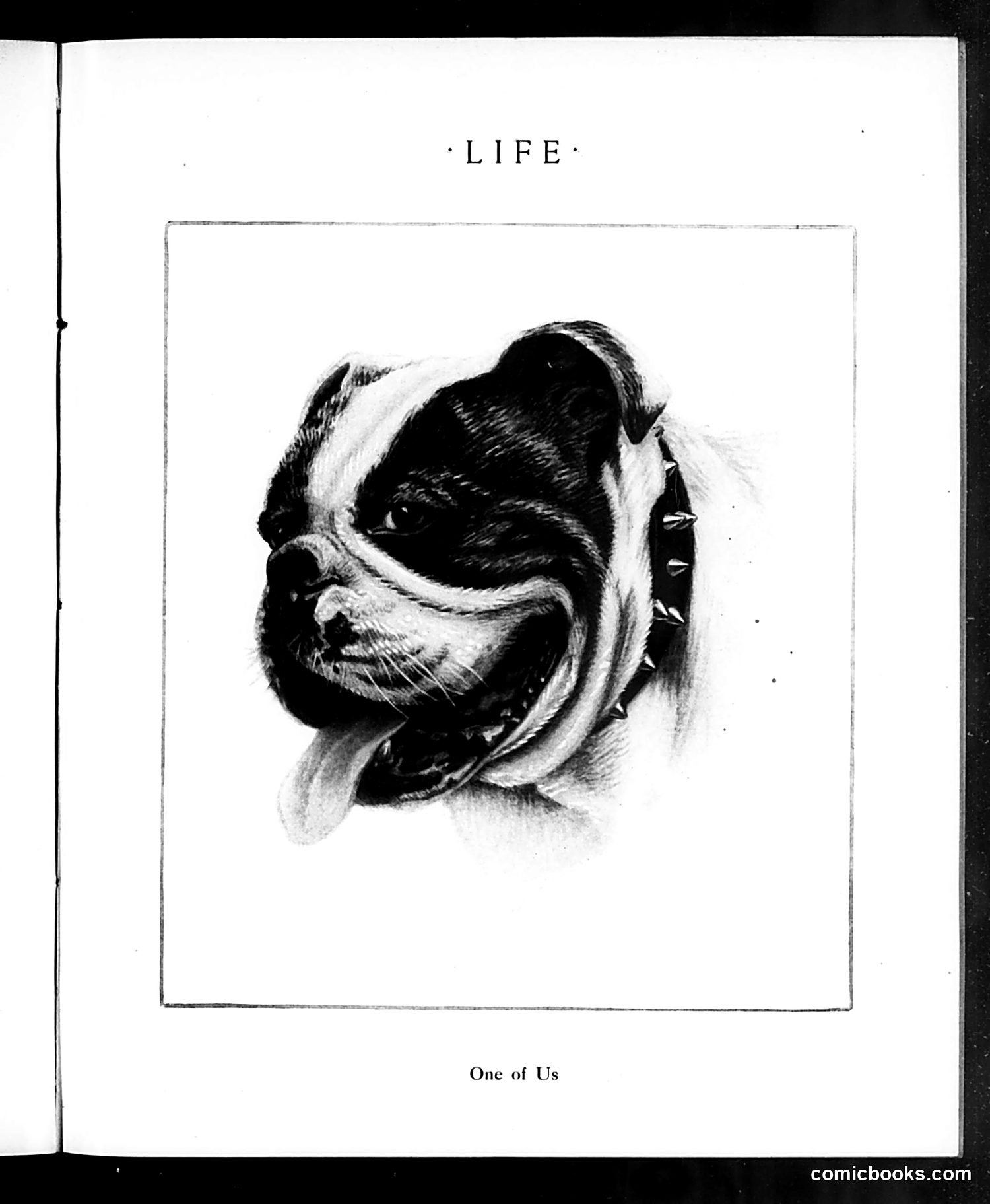 Life — October 7, 1915 — page 25 of 52