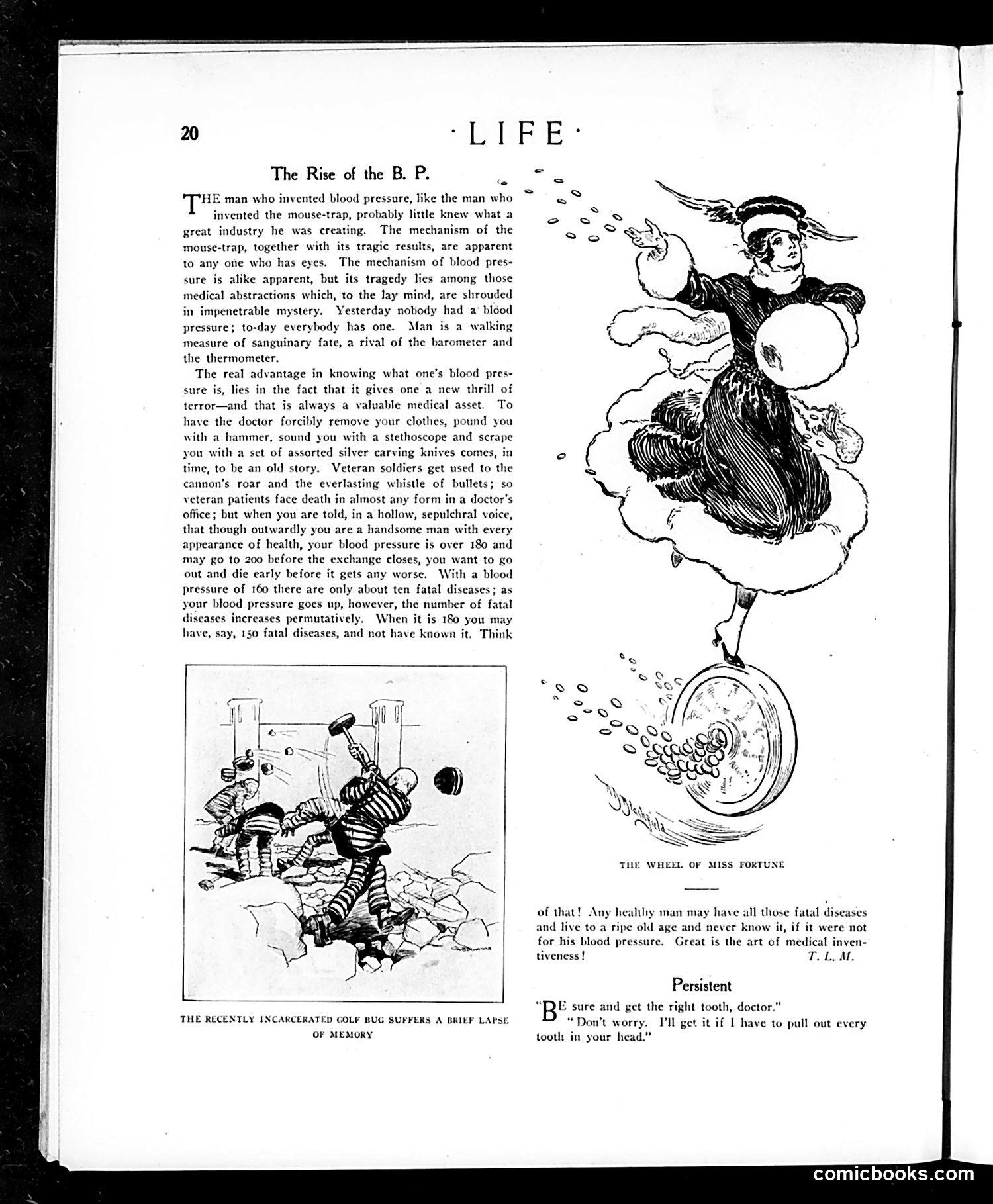 Life — January 6, 1916 — page 20 of 48