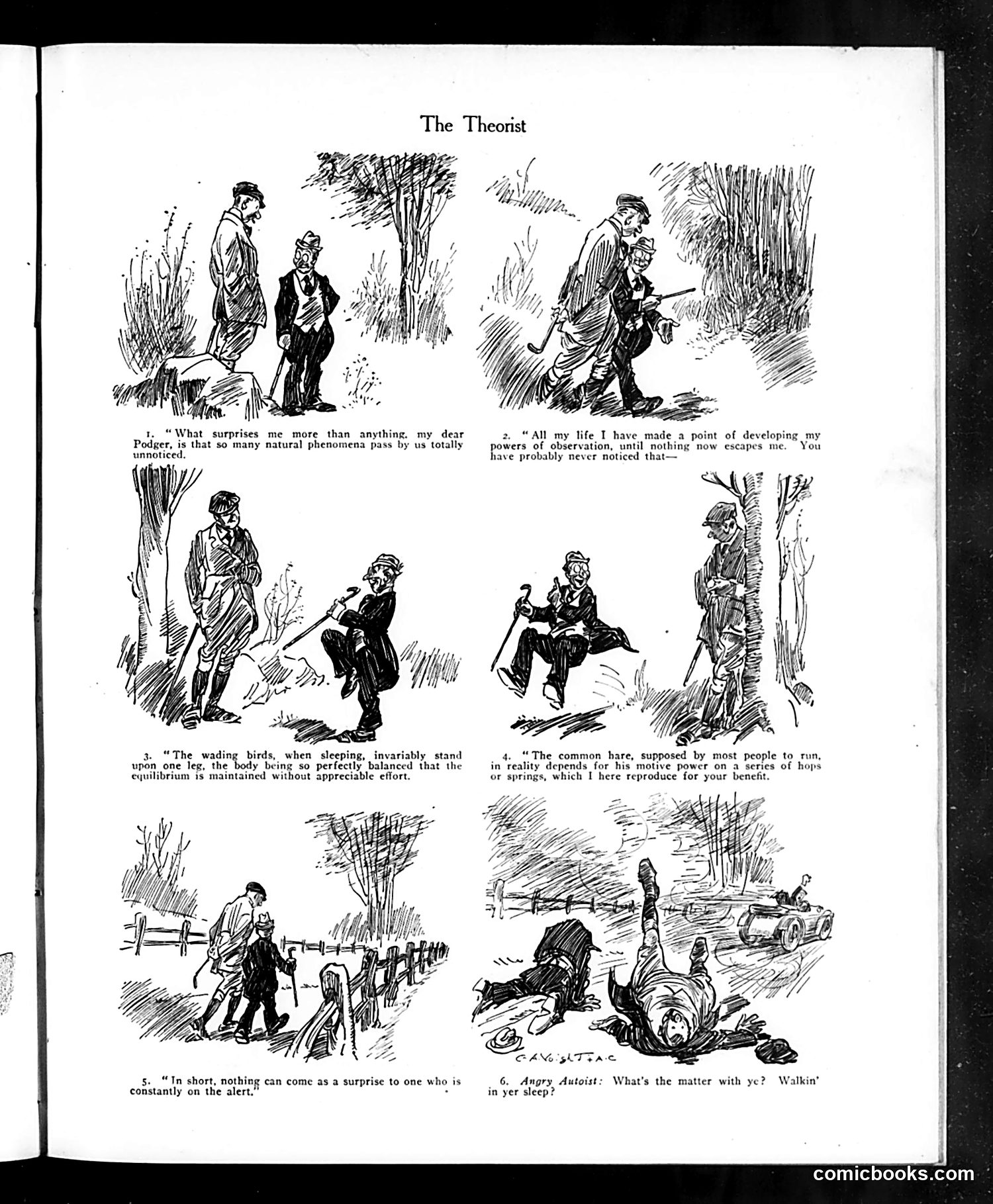 Life — January 27, 1916 — page 31 of 44
