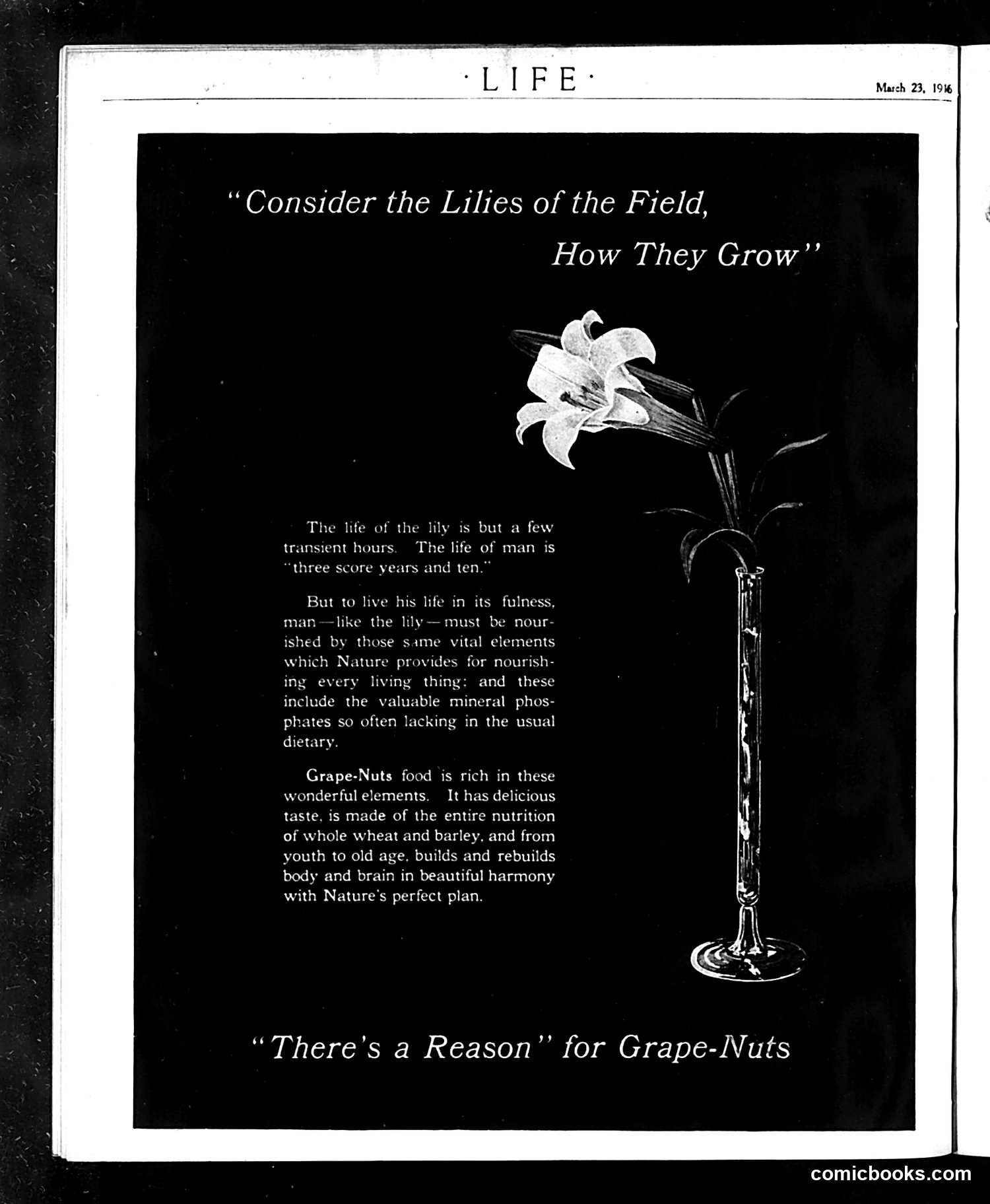 Life — March 23, 1916 — page 52 of 52