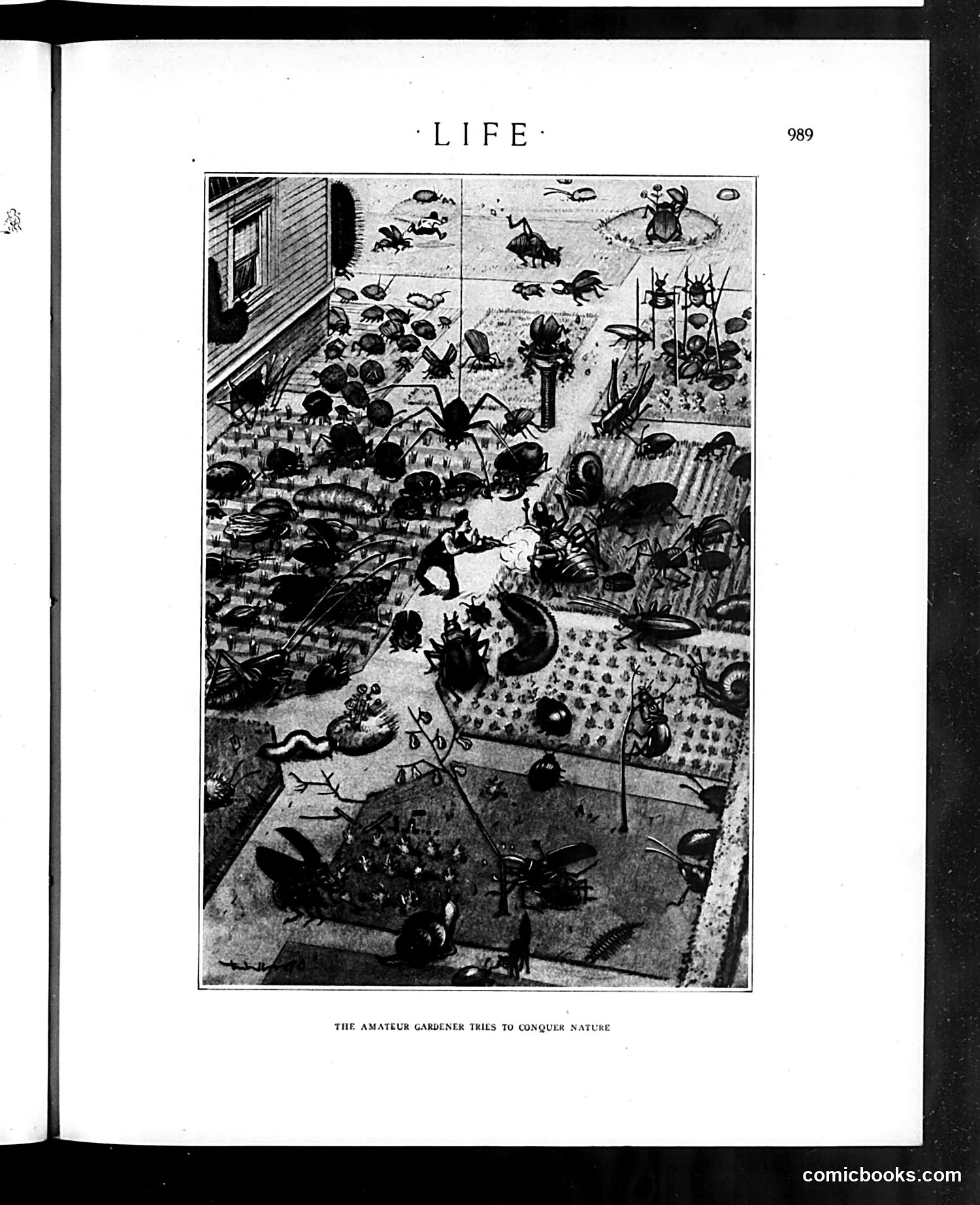 Life — May 25, 1916 — page 17 of 40