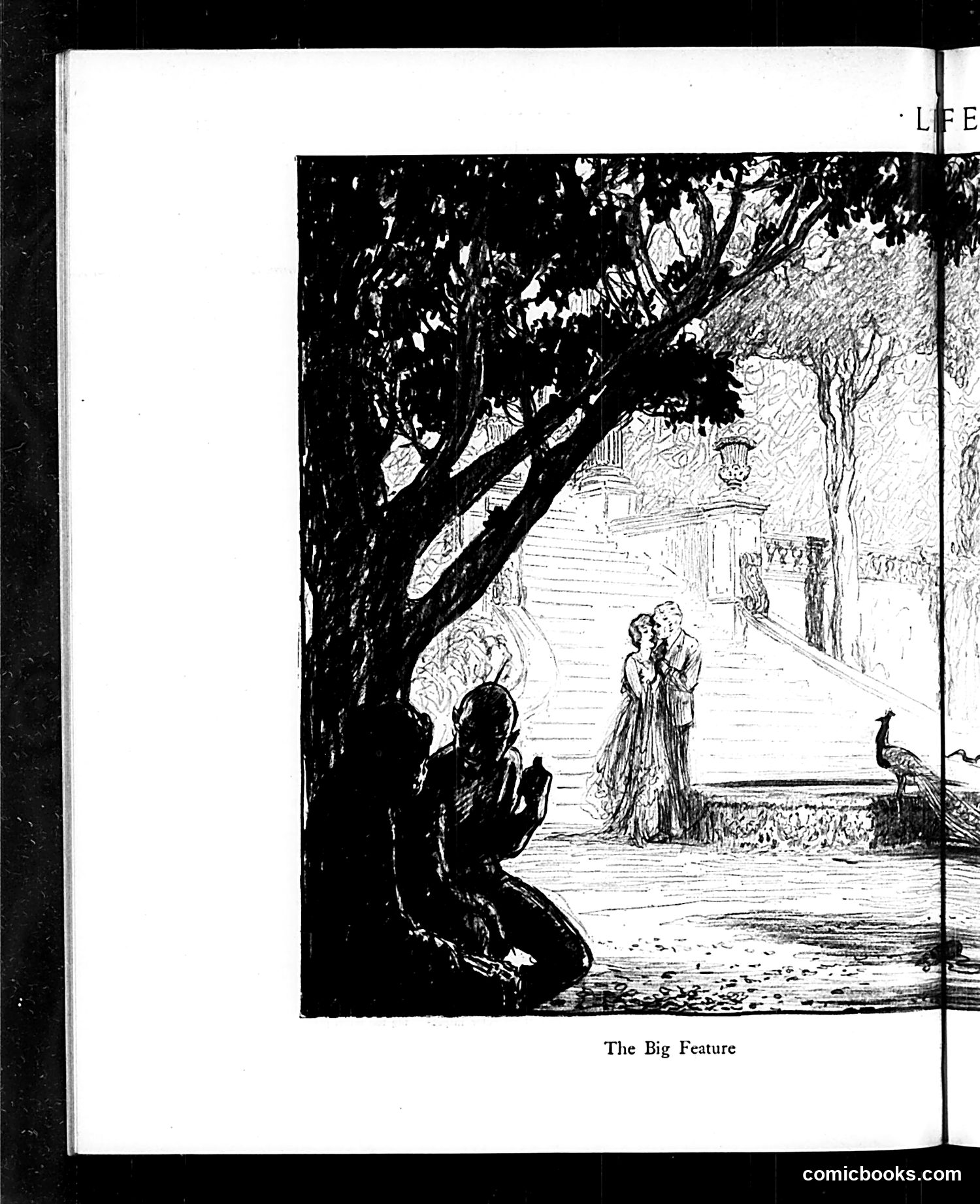 Life — June 8, 1916 — page 26 of 46