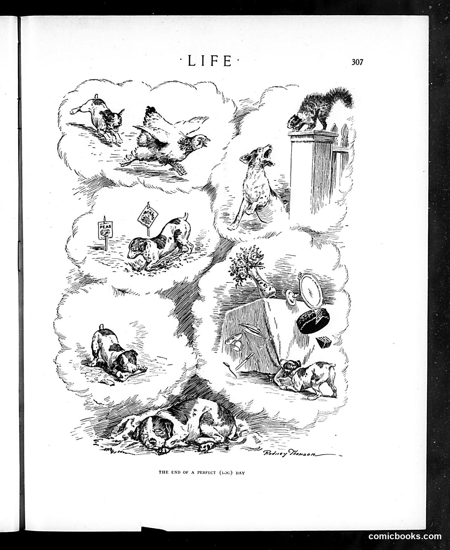 Life — August 24, 1916 — page 11 of 42