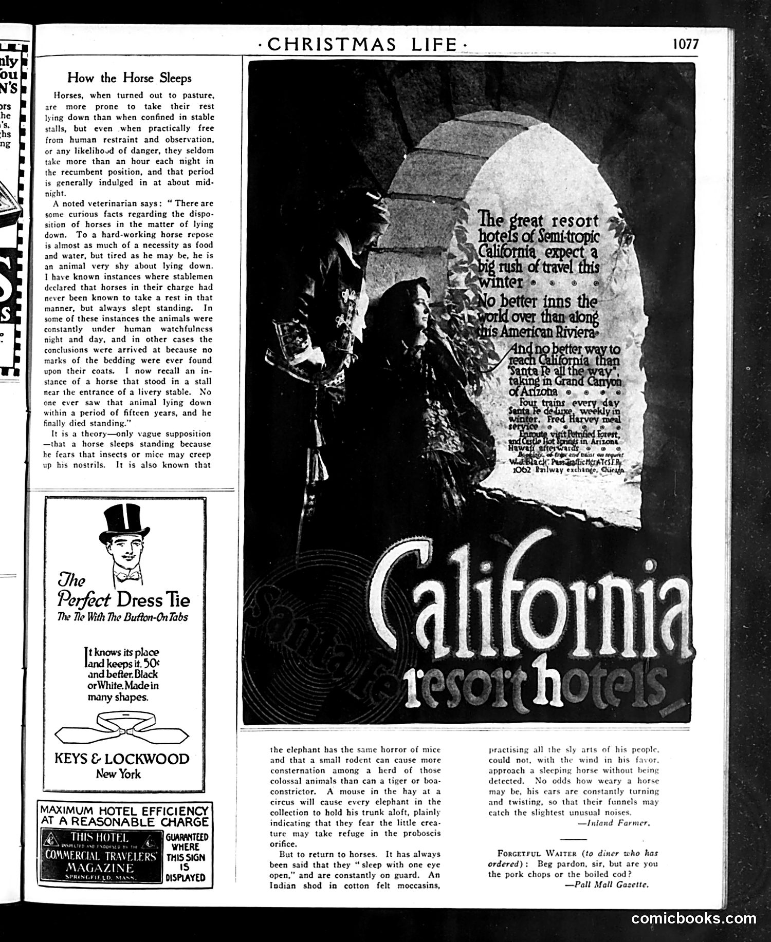 Life — December 7, 1916 — page 89 of 94