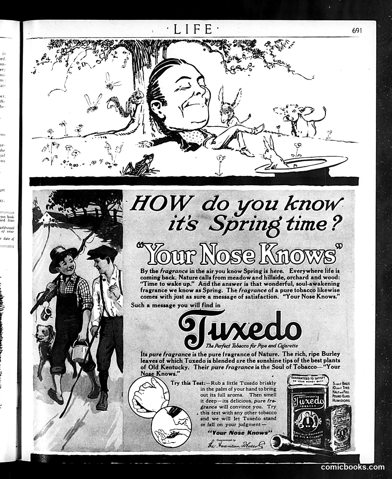 Life — April 19, 1917 — page 31 of 42