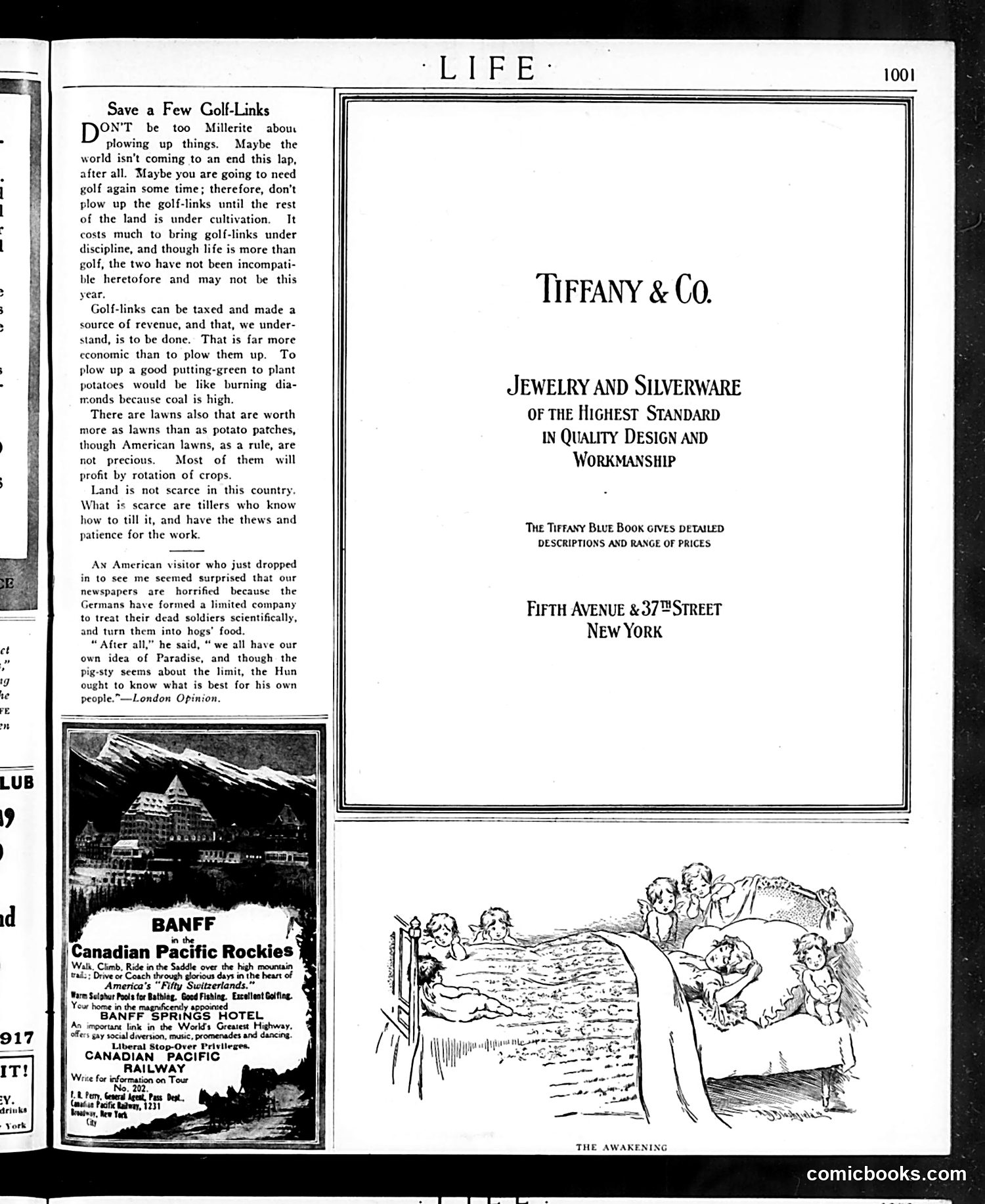 Life — June 7, 1917 — page 33 of 42