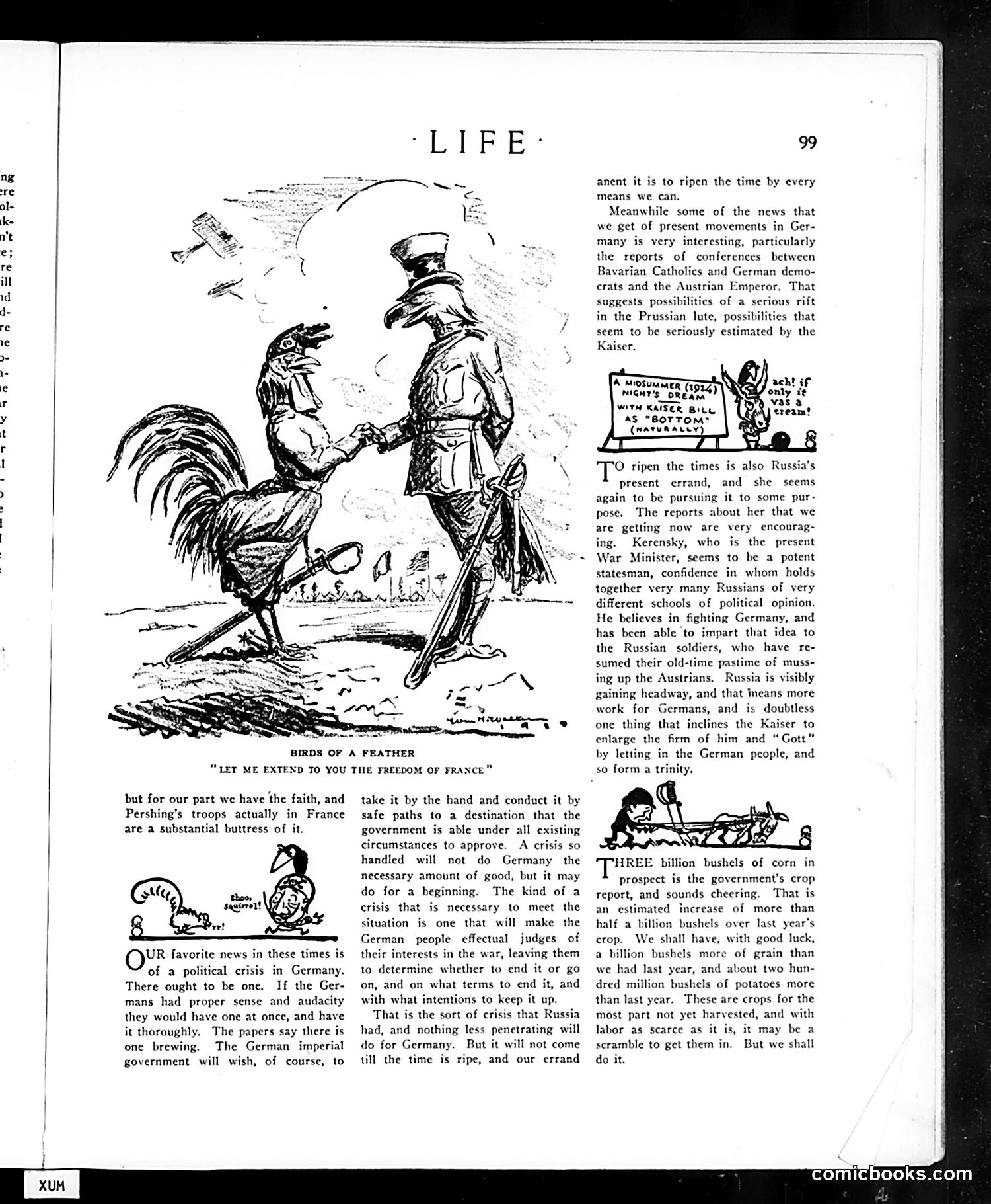 Life — July 19, 1917 — page 19 of 40