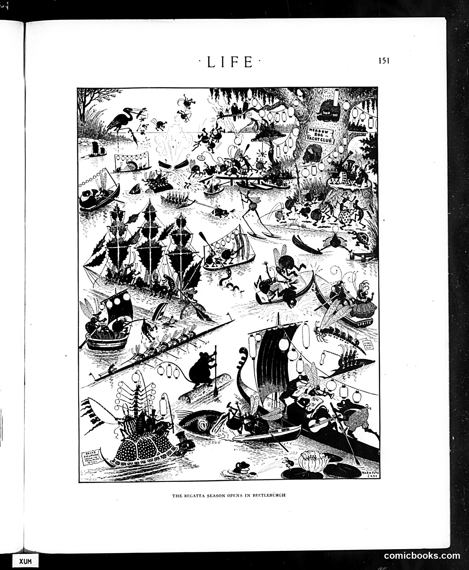 Life — July 26, 1917 — page 31 of 40