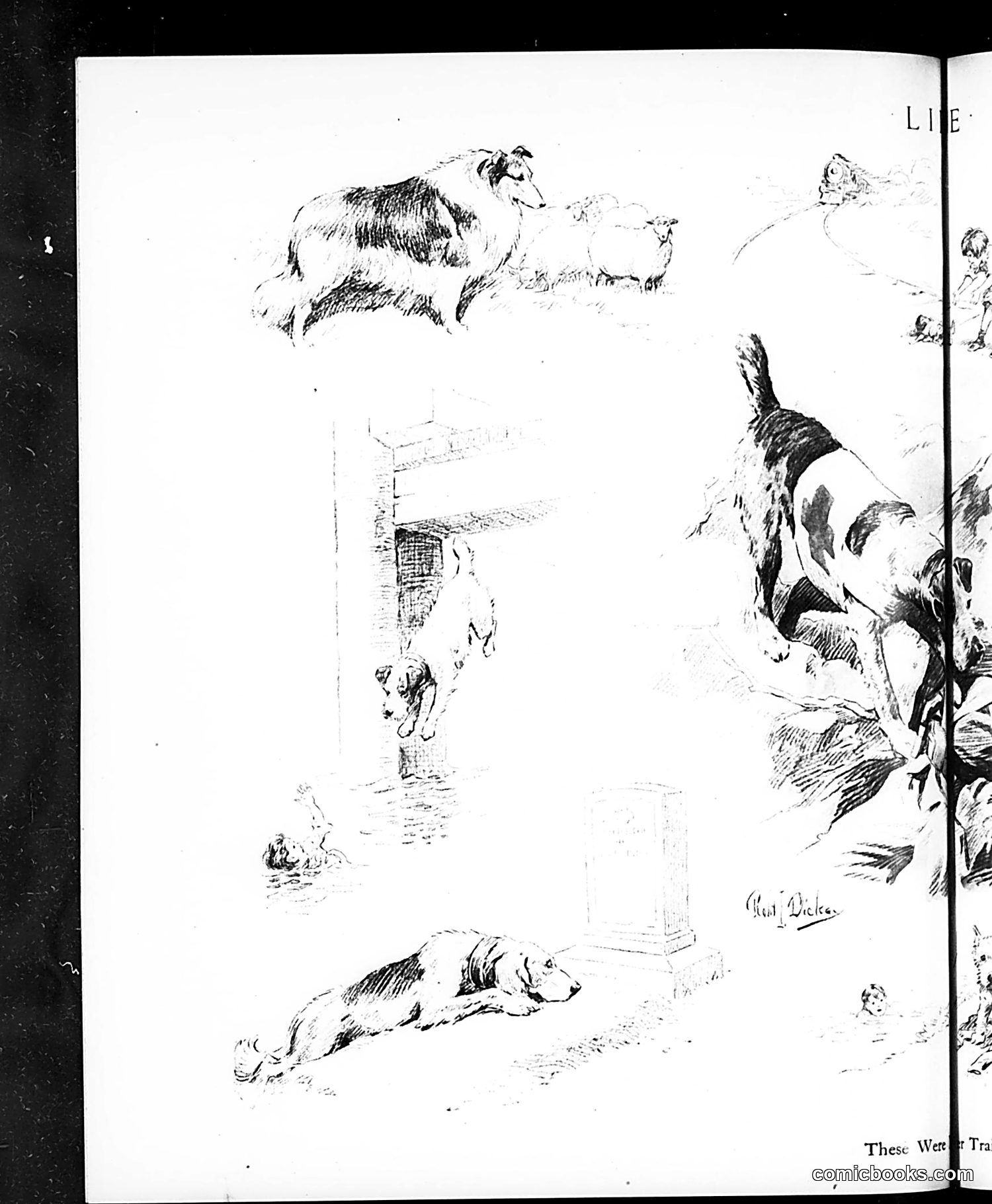Life — December 13, 1917 — page 20 of 40
