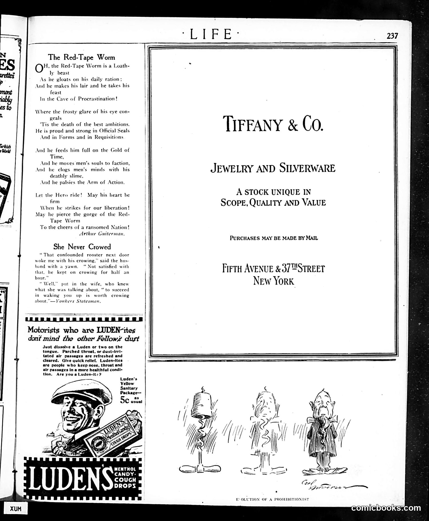 Life — February 7, 1918 — page 37 of 40