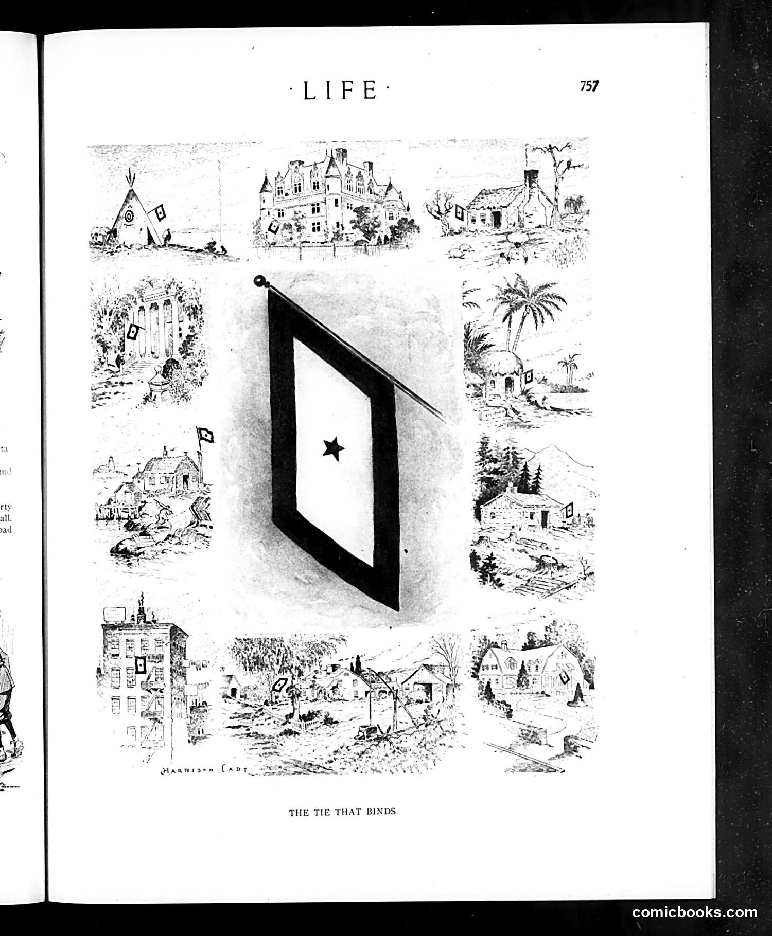 Life — November 21, 1918 — page 29 of 34