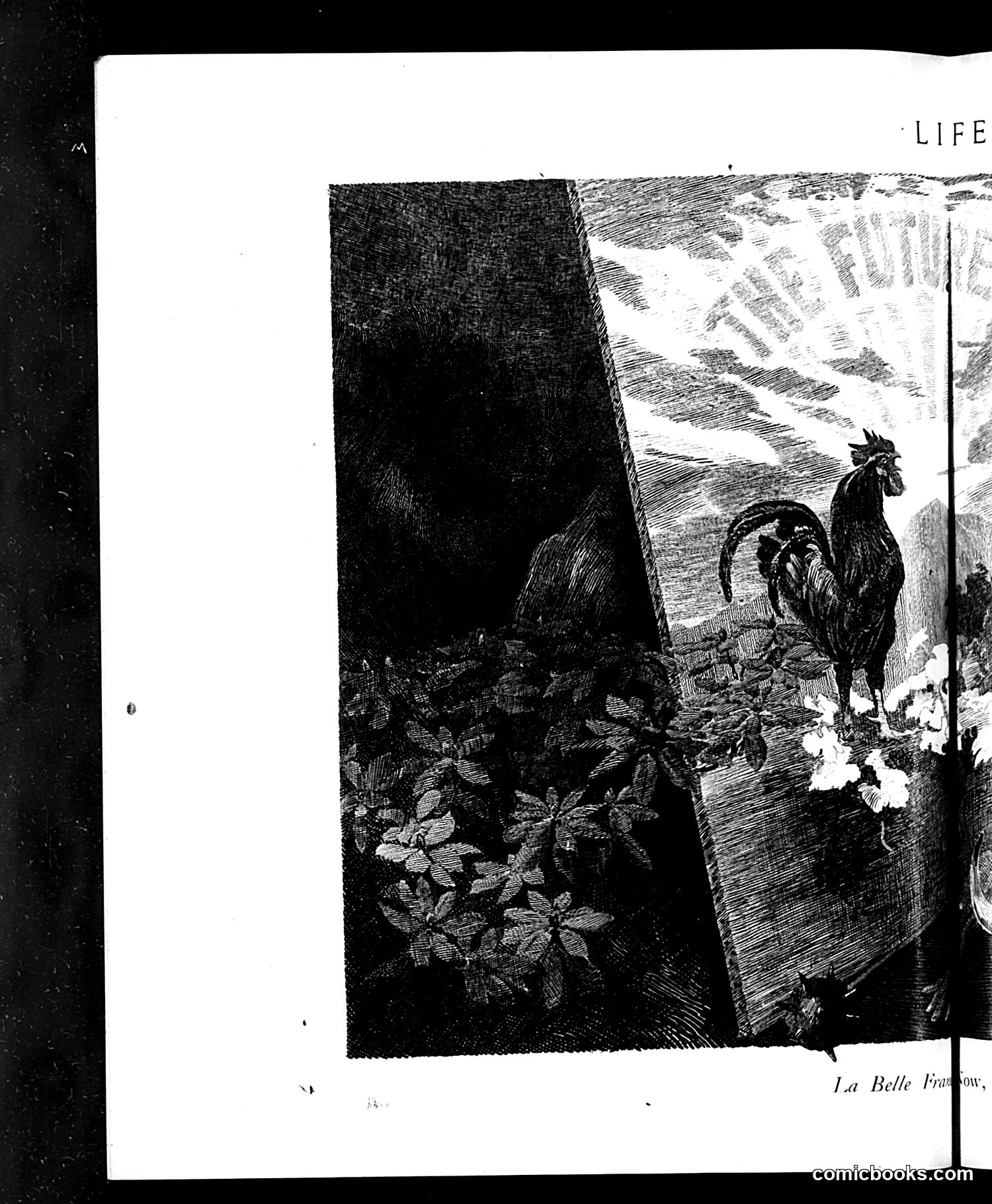 Life — December 19, 1918 — page 18 of 34