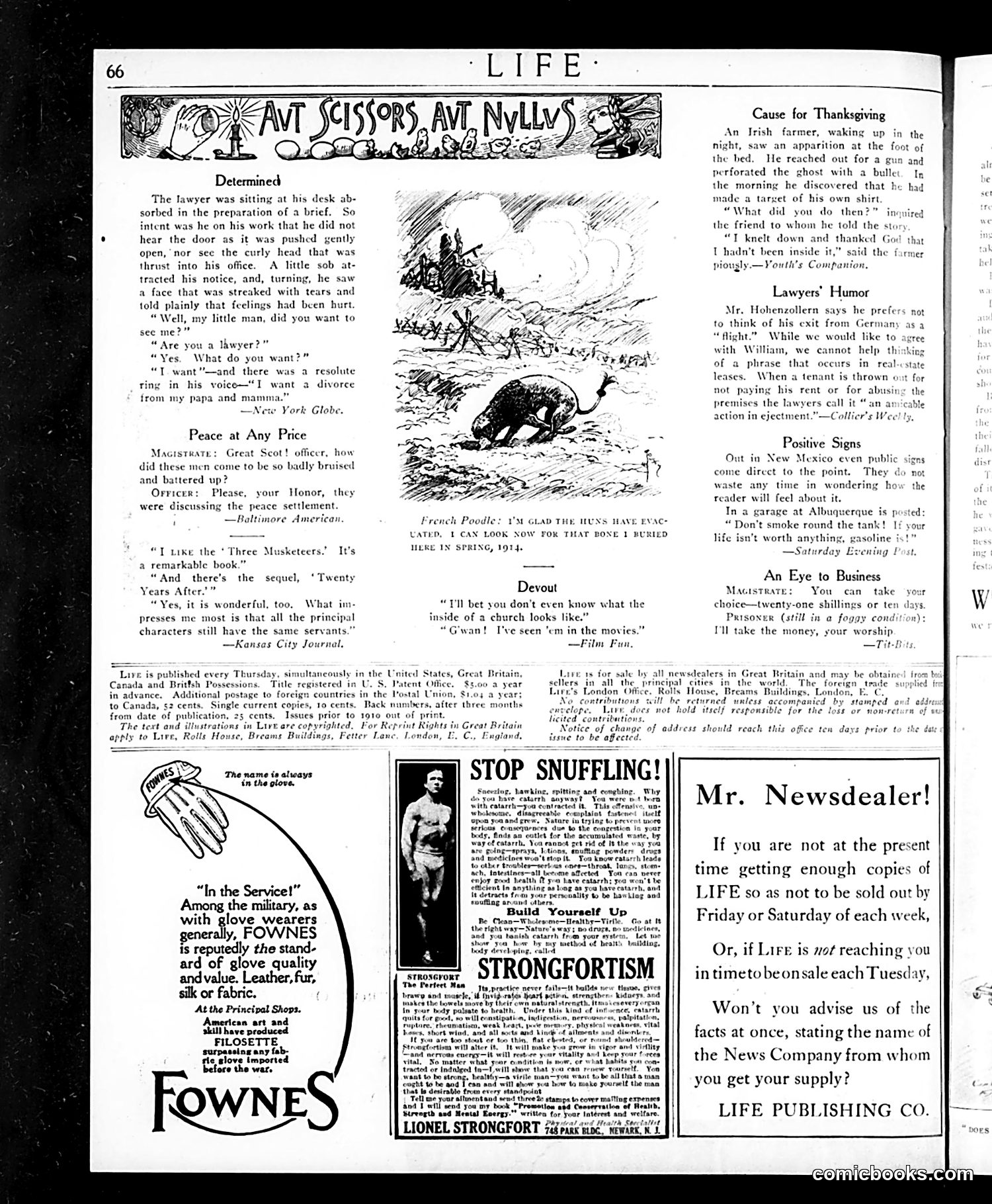 Life — January 9, 1919 — page 30 of 34