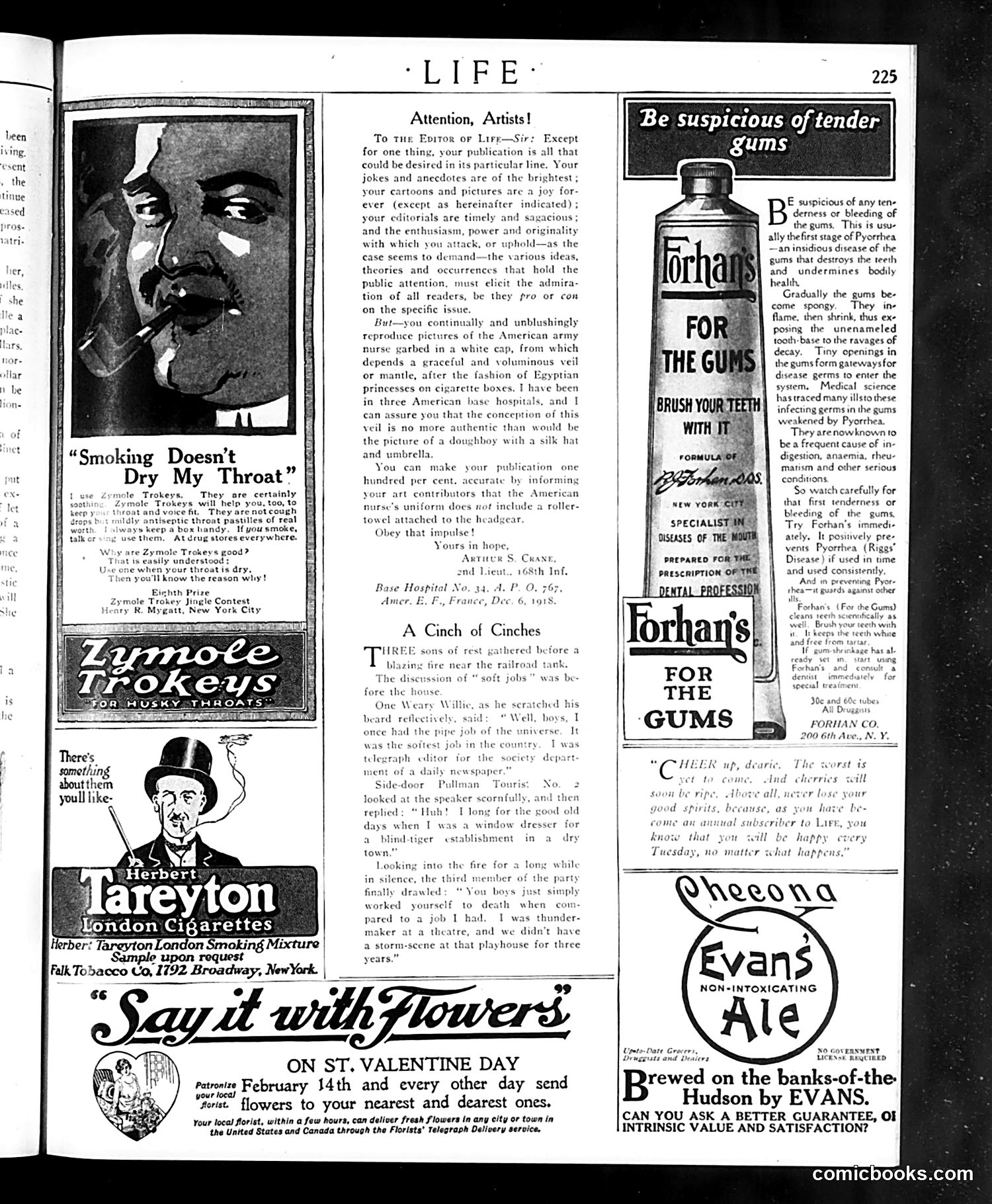 Life — February 6, 1919 — page 37 of 38