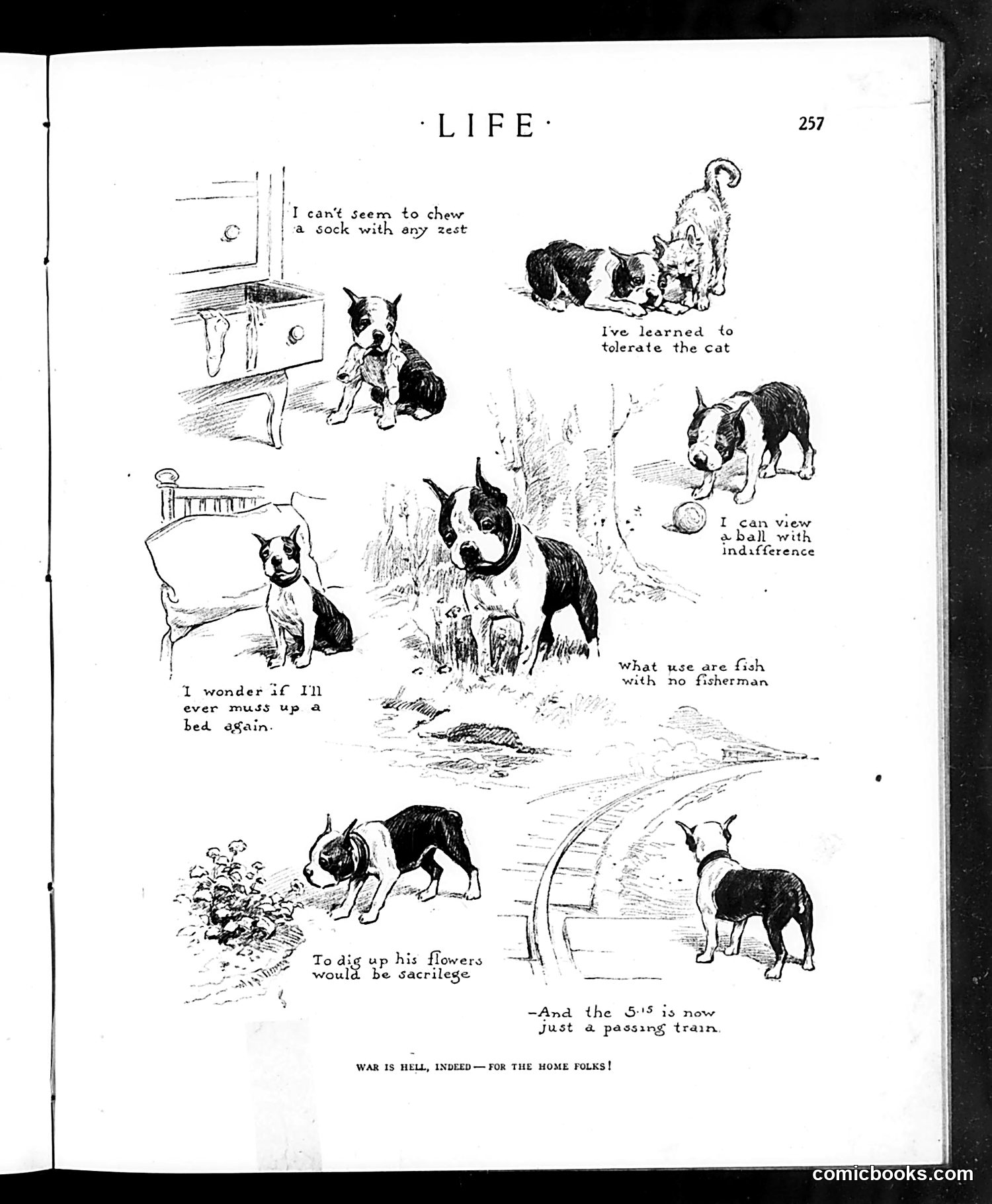 Life — February 13, 1919 — page 29 of 42