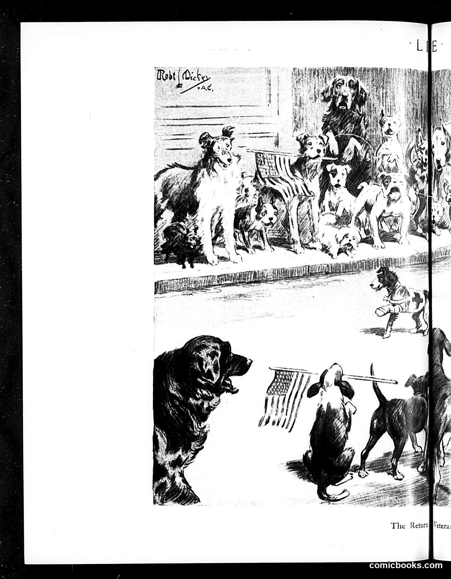 Life — May 15, 1919 — page 26 of 50