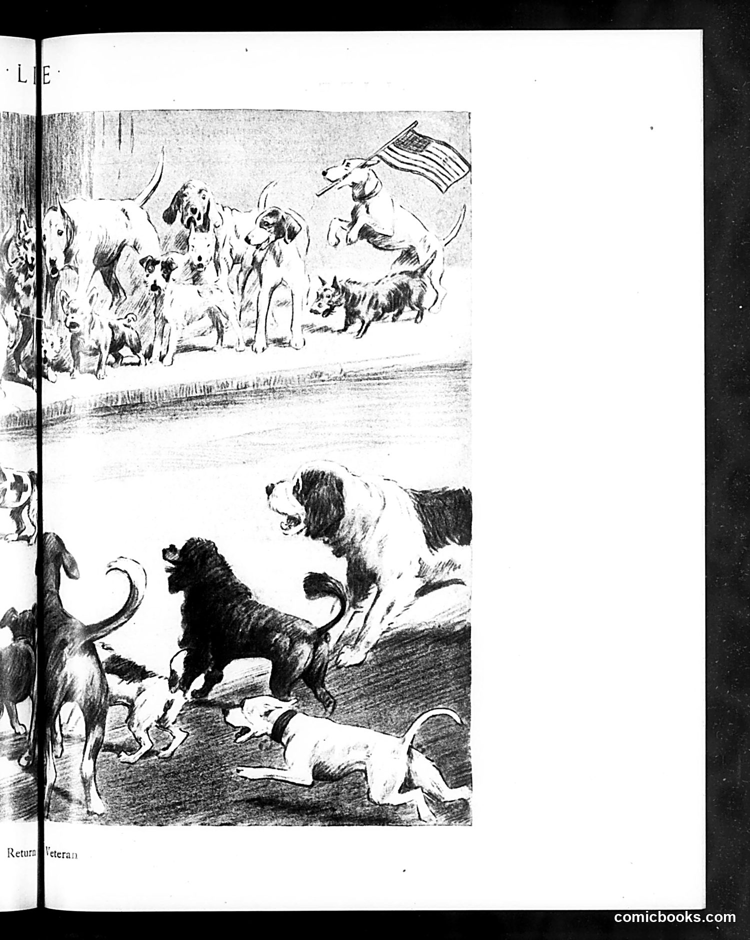 Life — May 15, 1919 — page 27 of 50