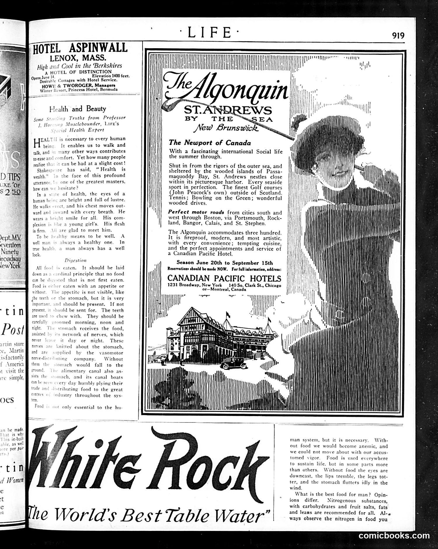 Life — May 22, 1919 — page 39 of 42