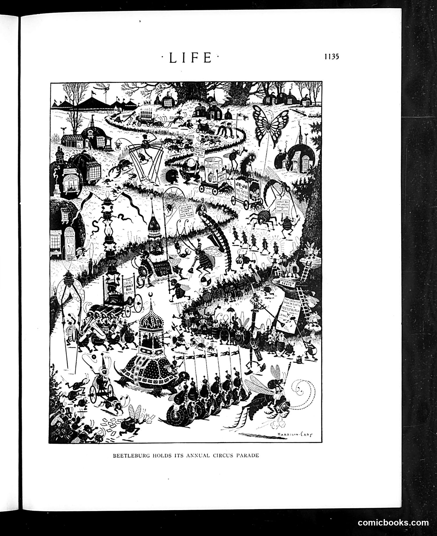 Life — June 26, 1919 — page 27 of 43