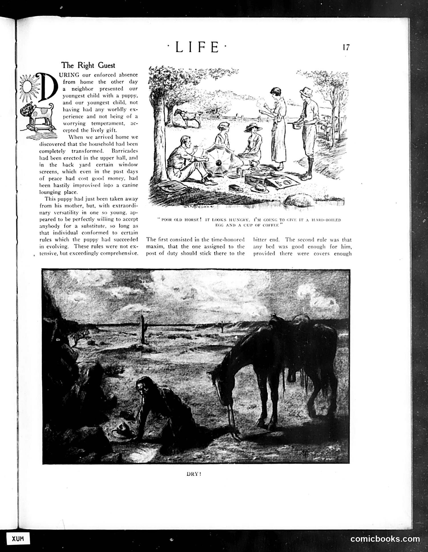 Life — July 3, 1919 — page 17 of 52
