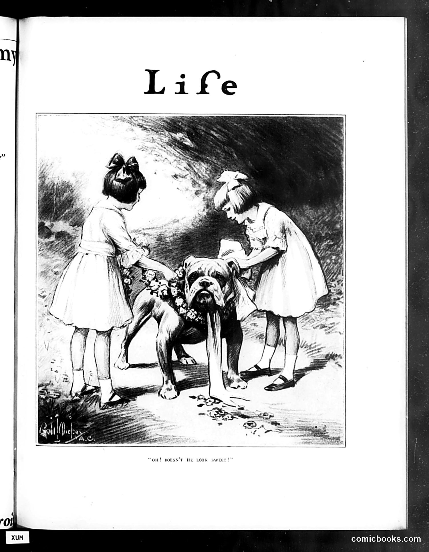 Life — July 17, 1919 — page 7 of 40