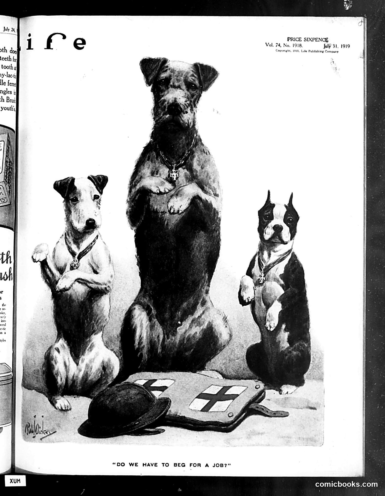 Life — July 31, 1919