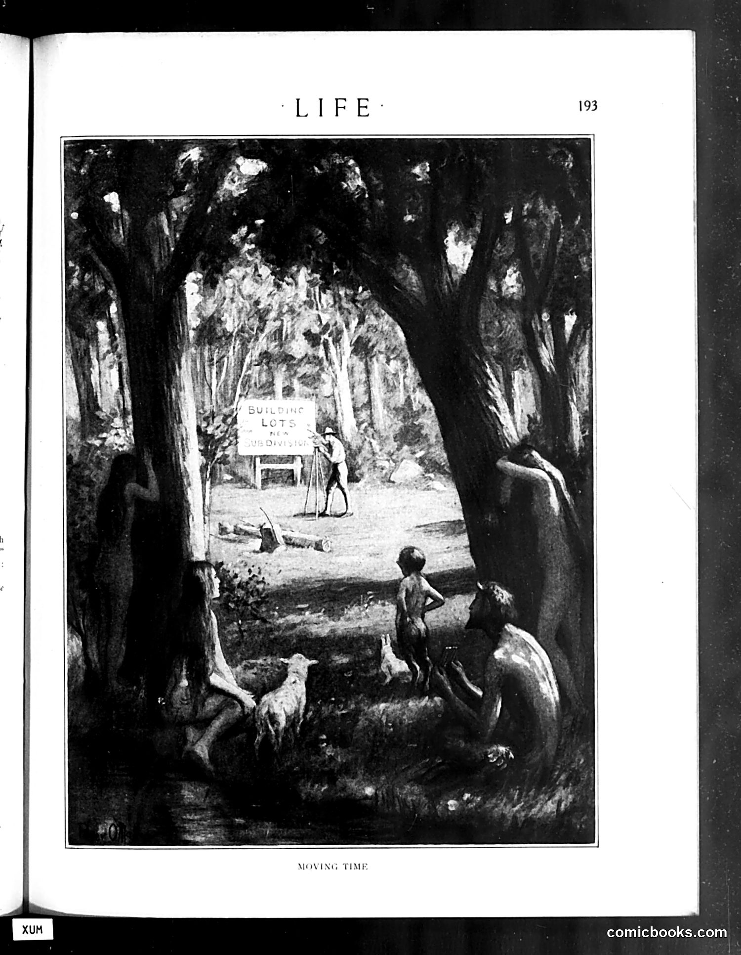 Life — July 31, 1919 — page 17 of 40