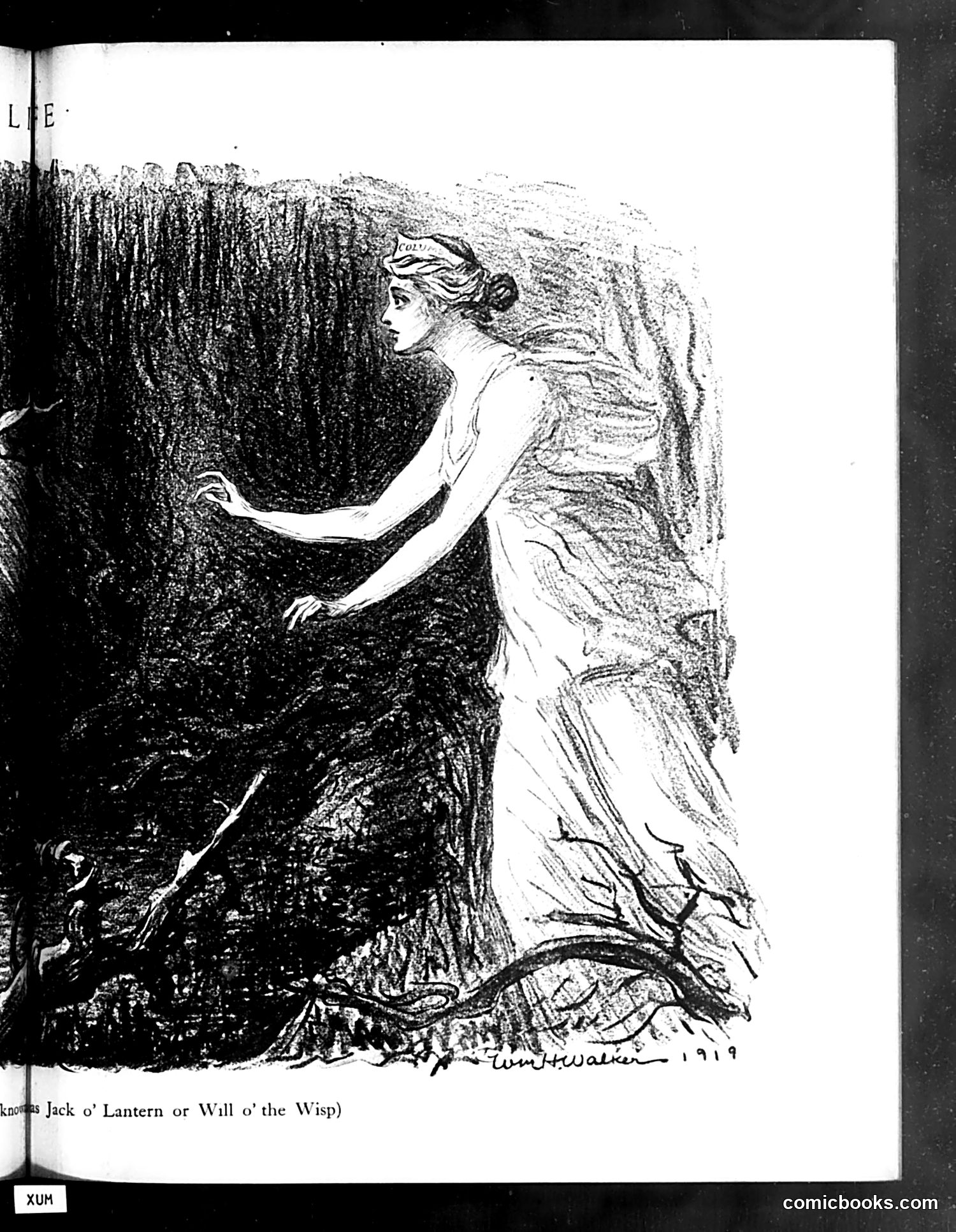 Life — July 31, 1919 — page 21 of 40