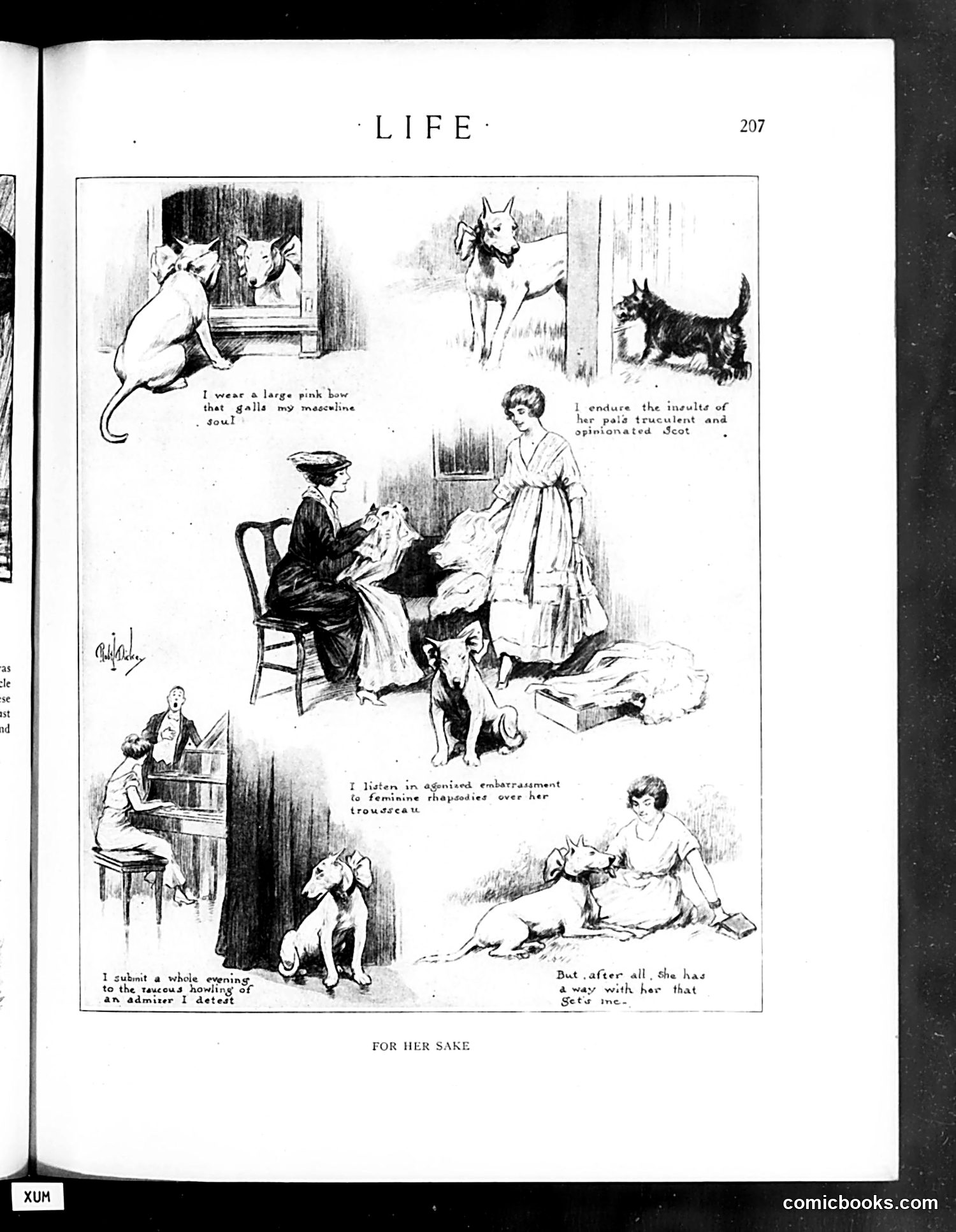Life — July 31, 1919 — page 31 of 40
