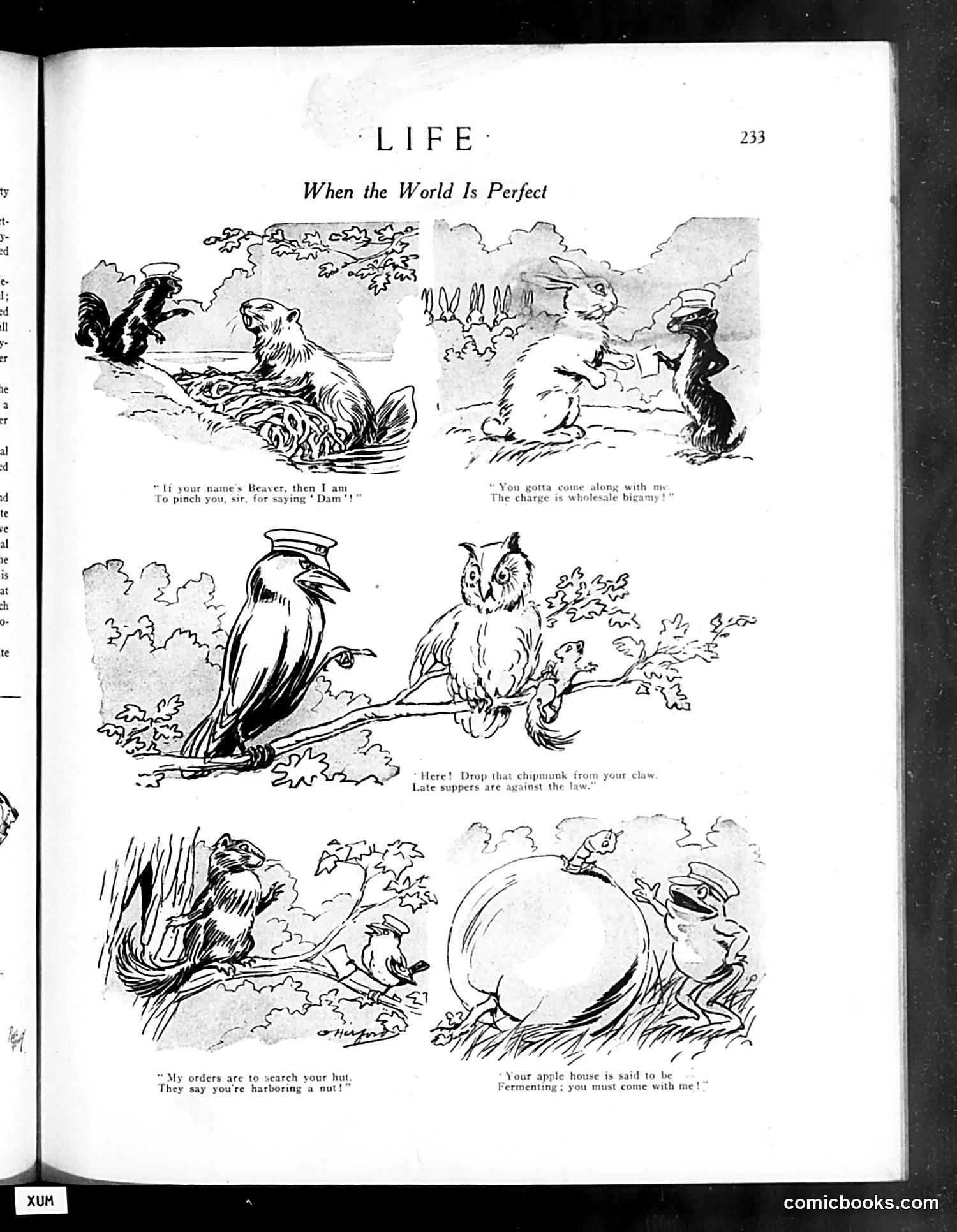 Life — August 7, 1919 — page 17 of 44