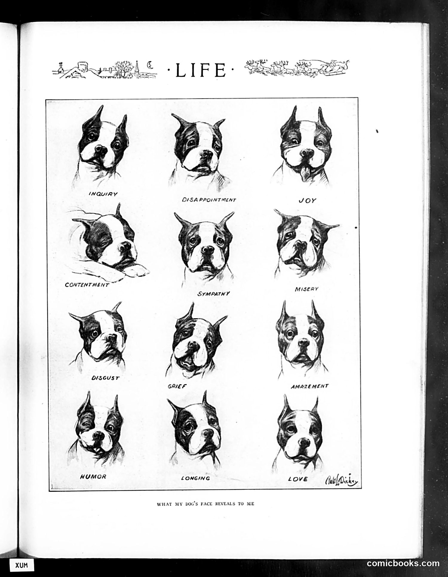 Life — December 4, 1919 — page 27 of 80