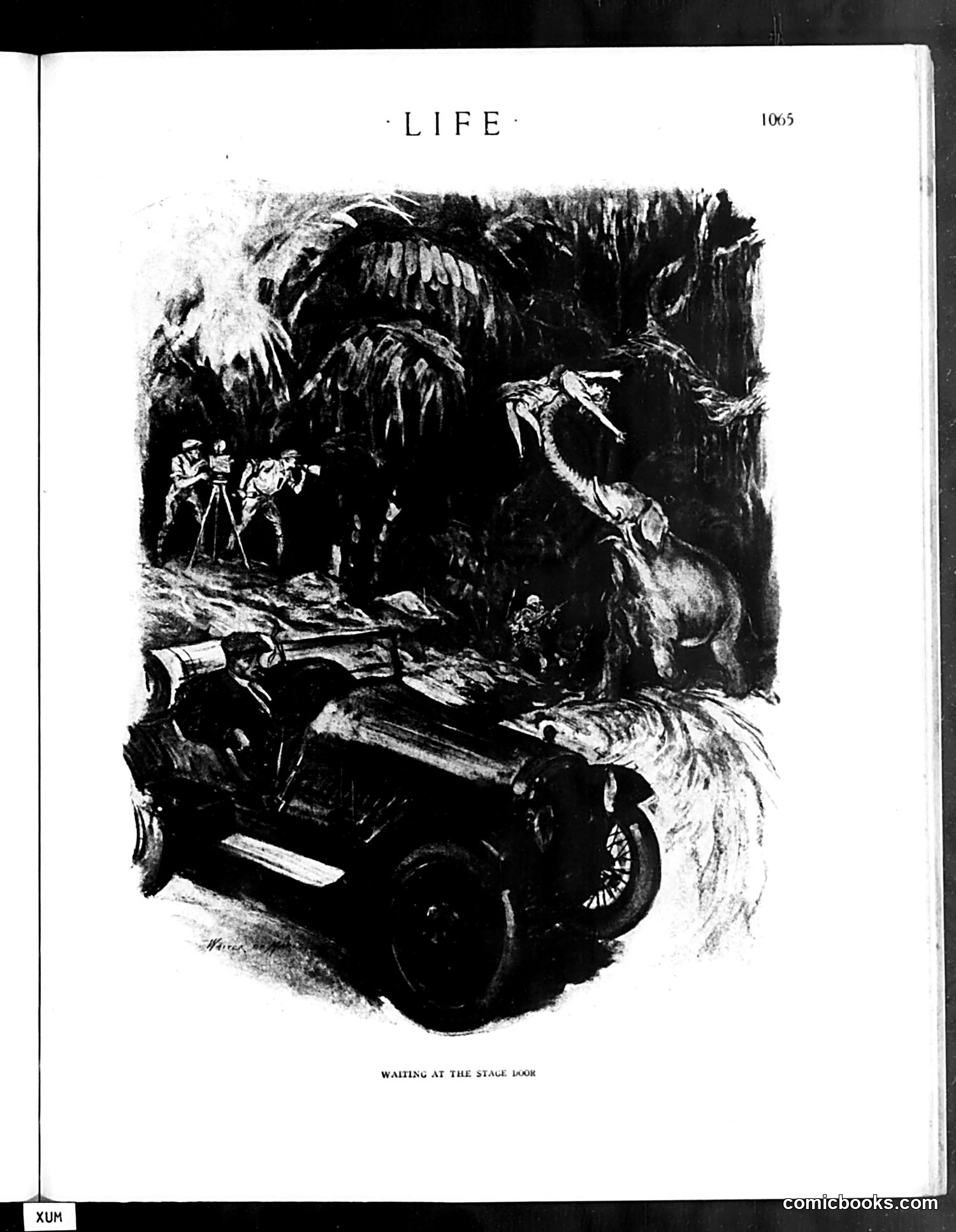 Life — December 25, 1919 — page 15 of 37