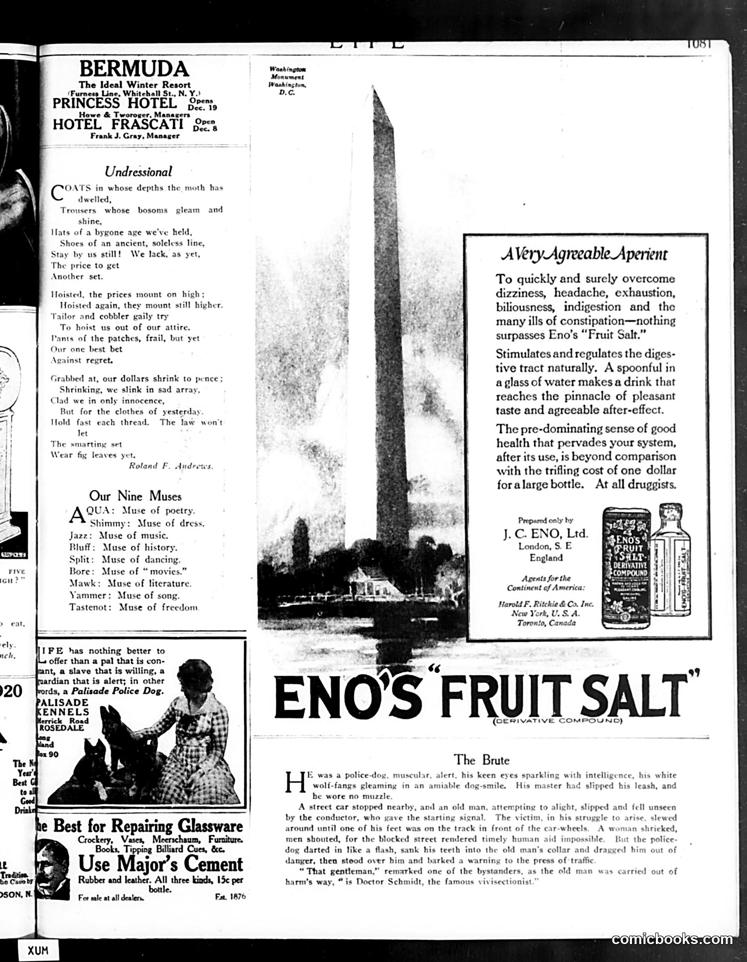 Life — December 25, 1919 — page 31 of 37
