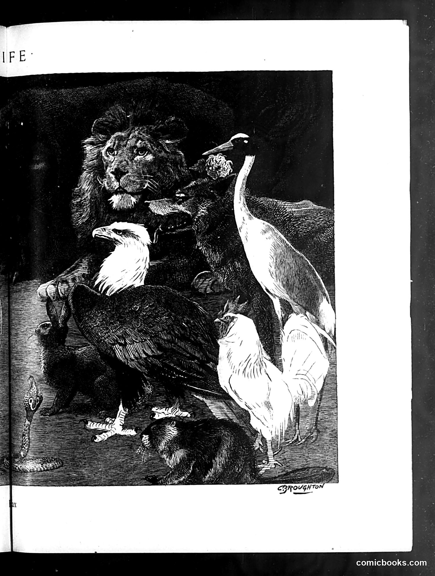 Life — January 1, 1920 — page 25 of 48