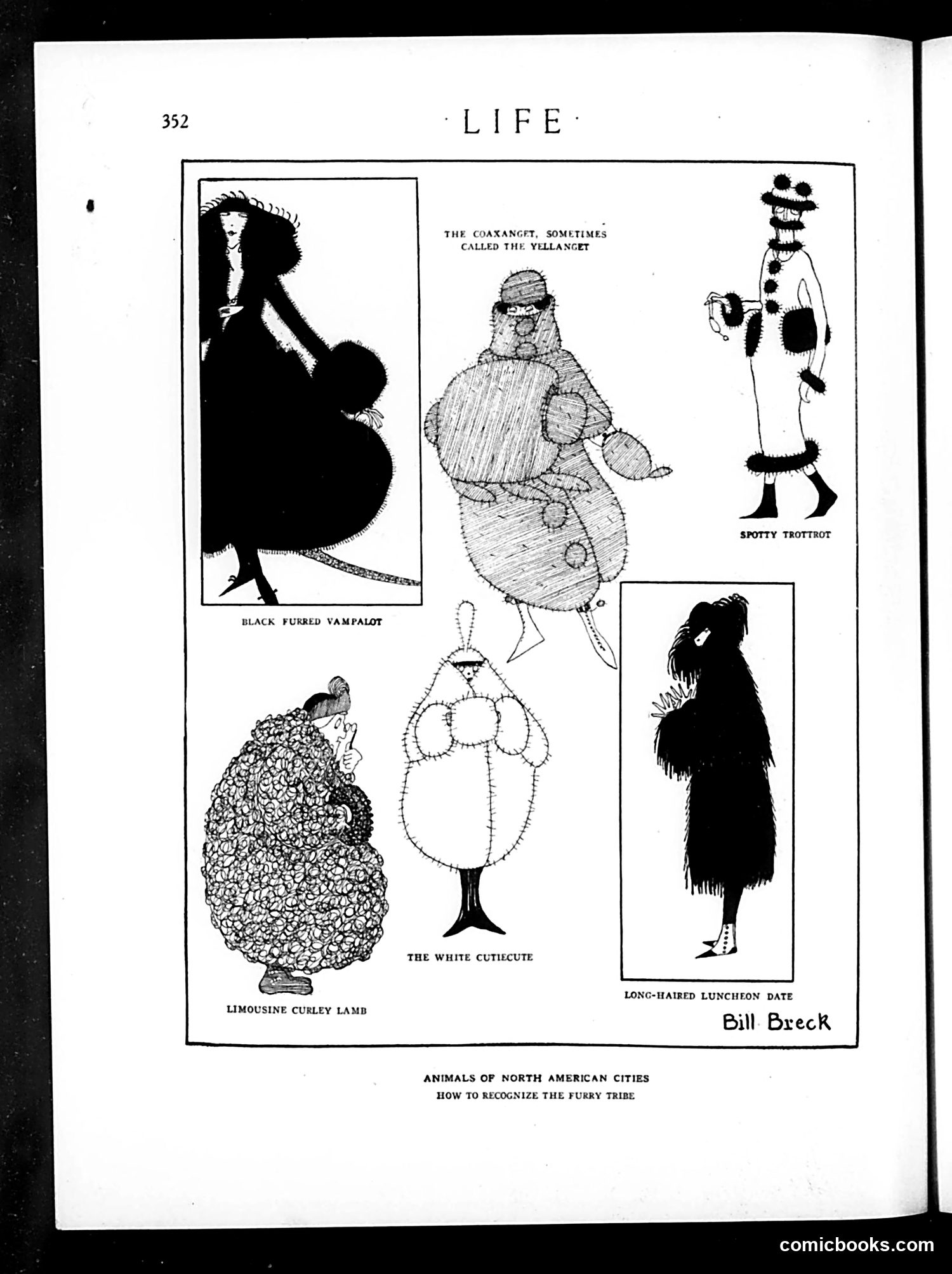 Life — February 26, 1920 — page 8 of 40