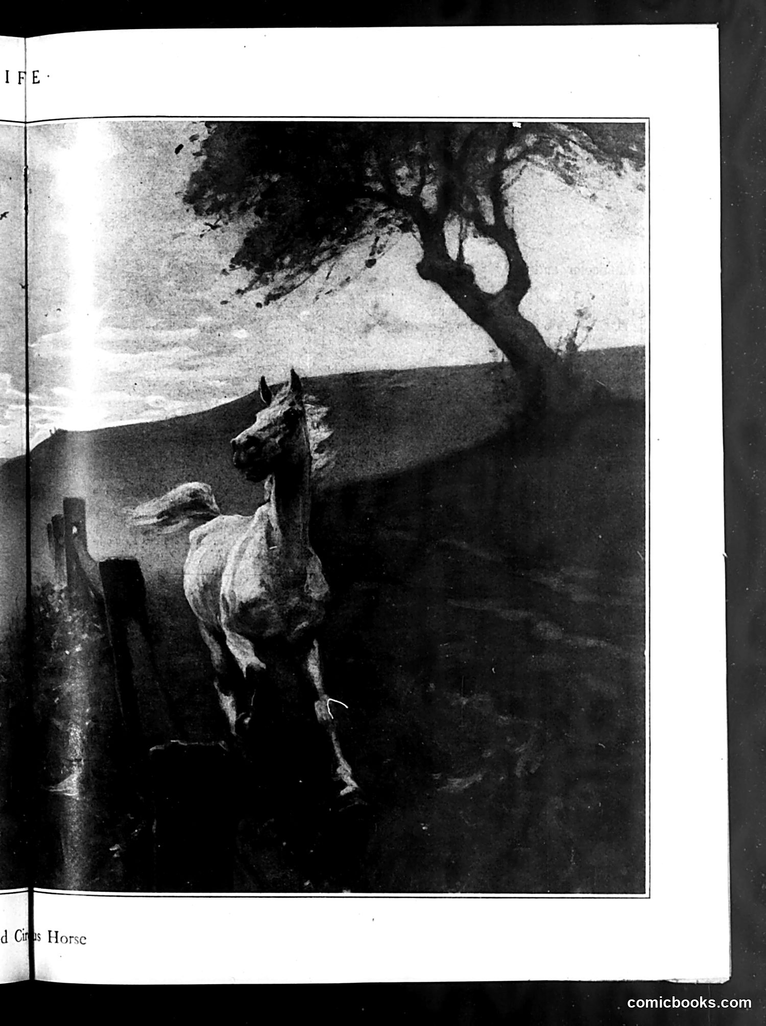 Life — May 13, 1920 — page 27 of 52
