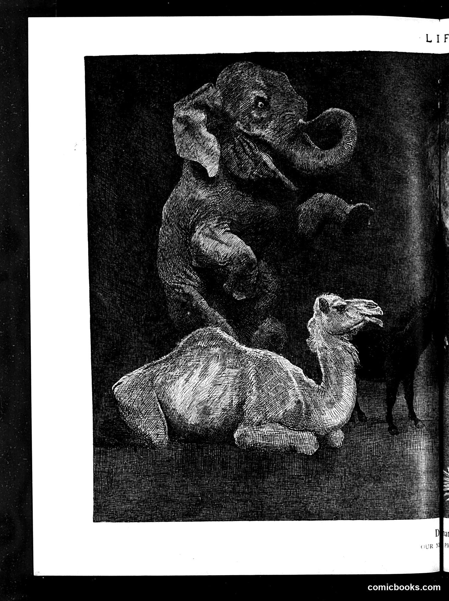 Life — May 27, 1920 — page 22 of 44
