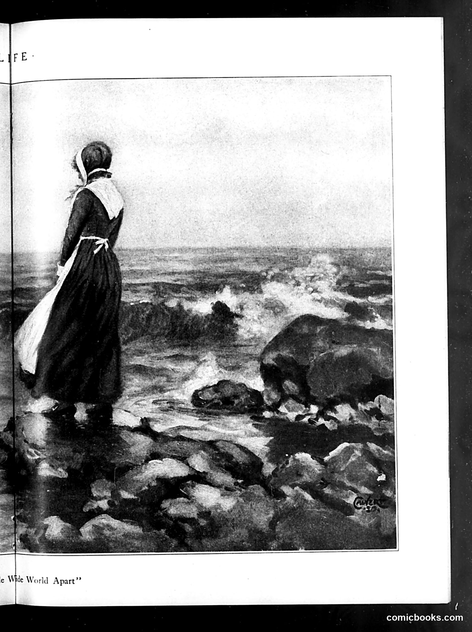 Life — June 24, 1920 — page 21 of 41