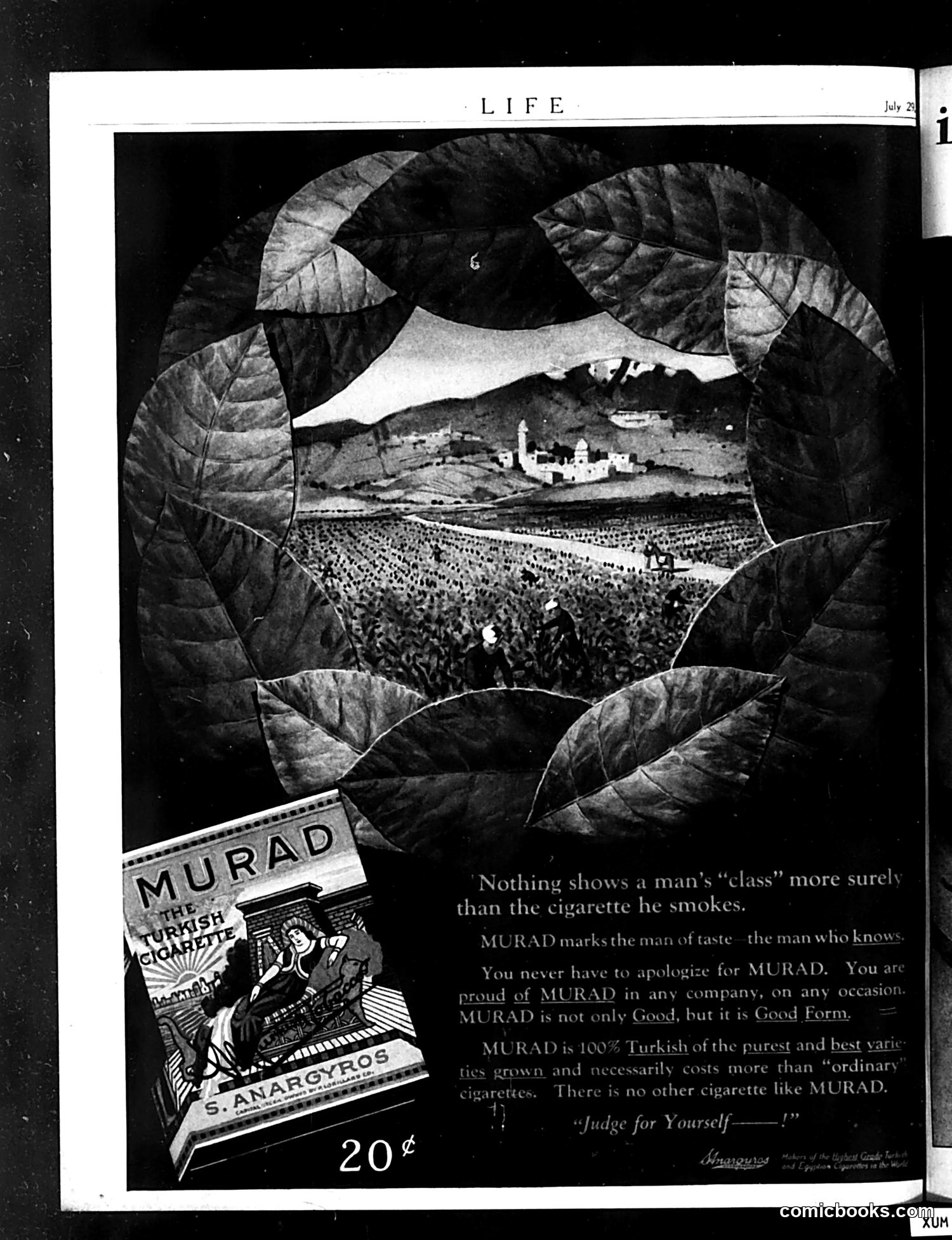 Life — July 29, 1920 — page 36 of 36