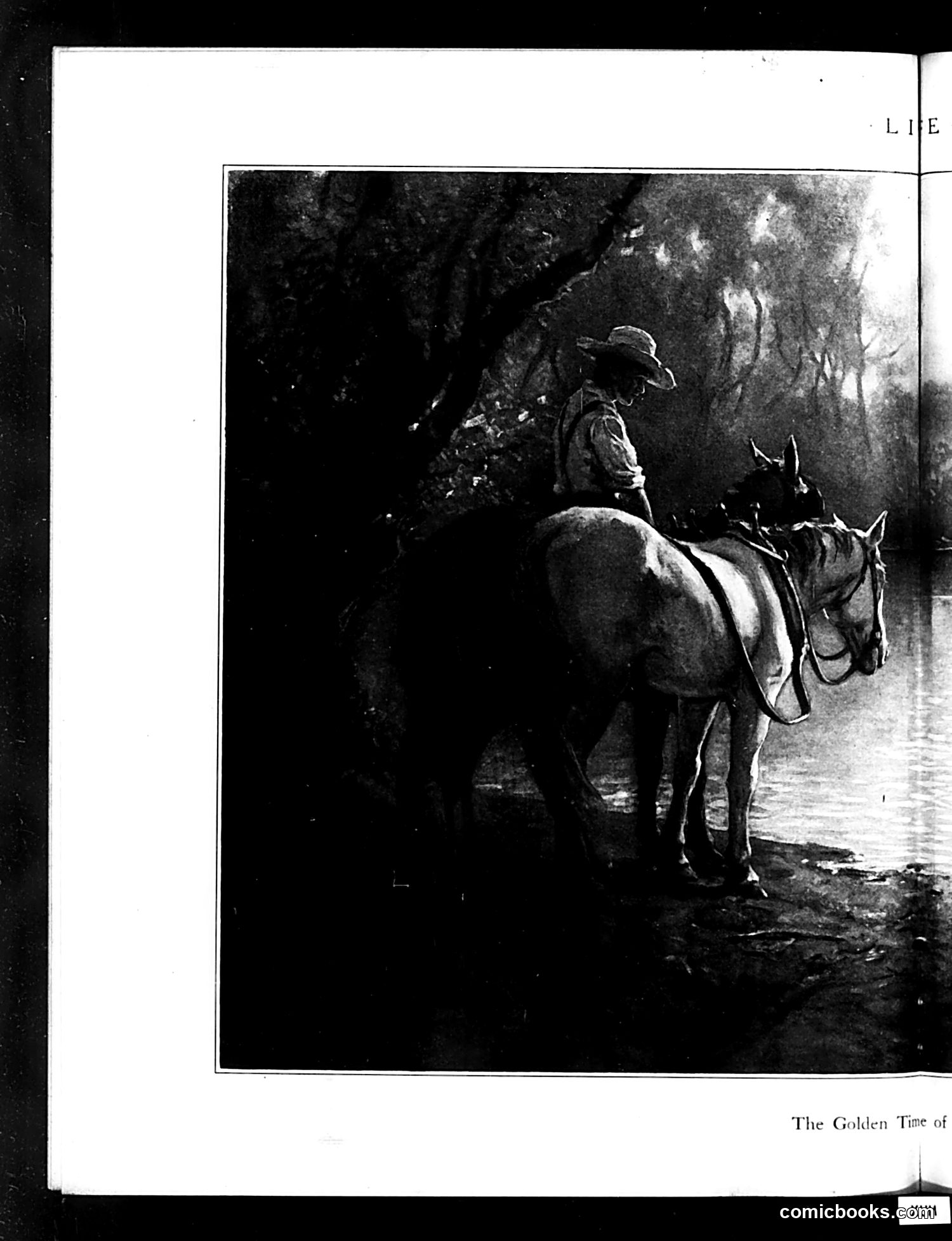 Life — August 5, 1920 — page 24 of 48
