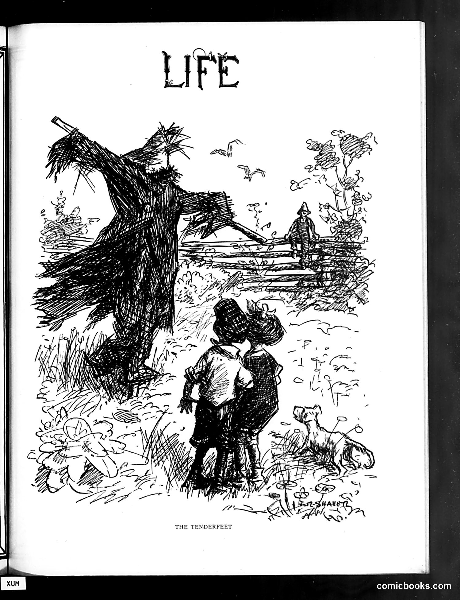 Life — August 26, 1920 — page 7 of 36