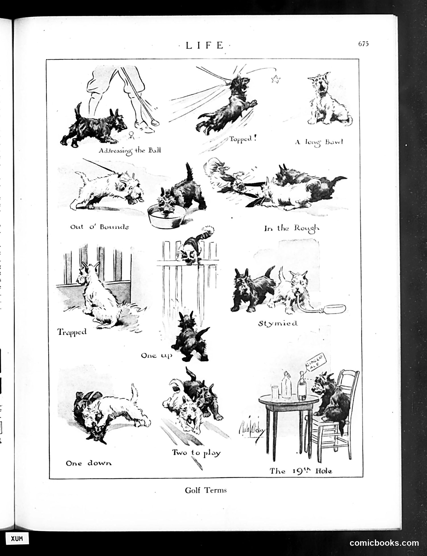 Life — October 14, 1920 — page 19 of 44