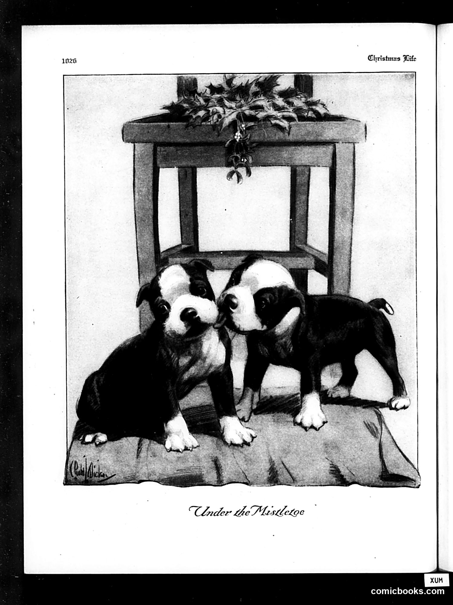 Life — December 2, 1920 — page 46 of 97