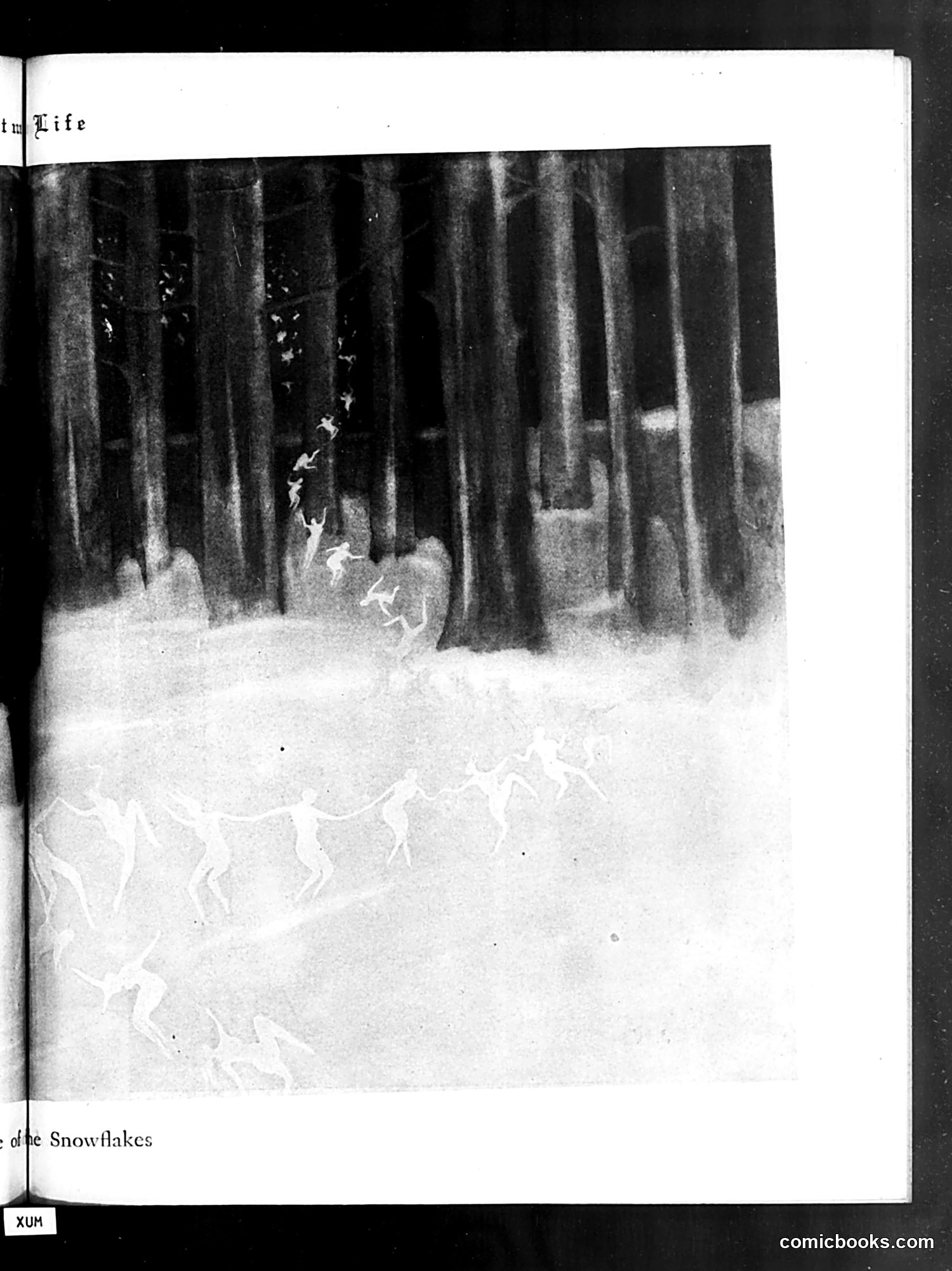 Life — December 2, 1920 — page 49 of 97